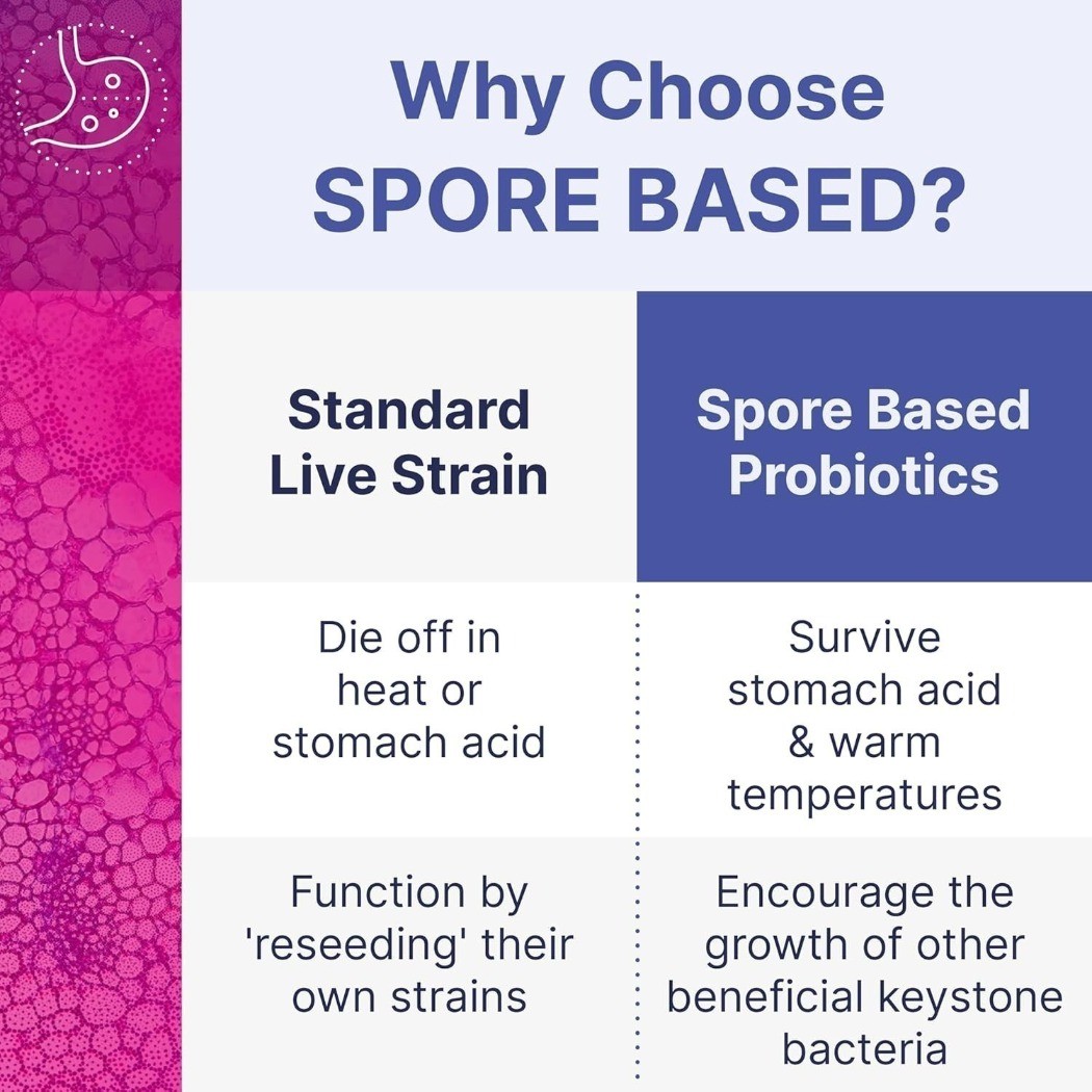 1-3PACK Microbiome Labs MegaSporeBiotic Spore-Based Probiotic 60 Capsules