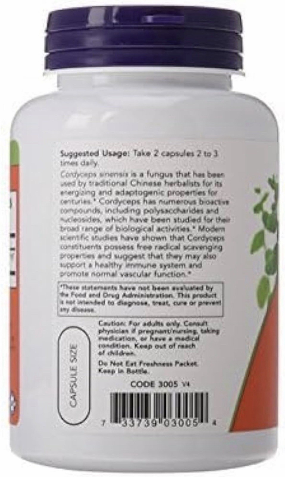 NOW Foods Cordyceps 750mg 90 Veg Capsules Immune Support