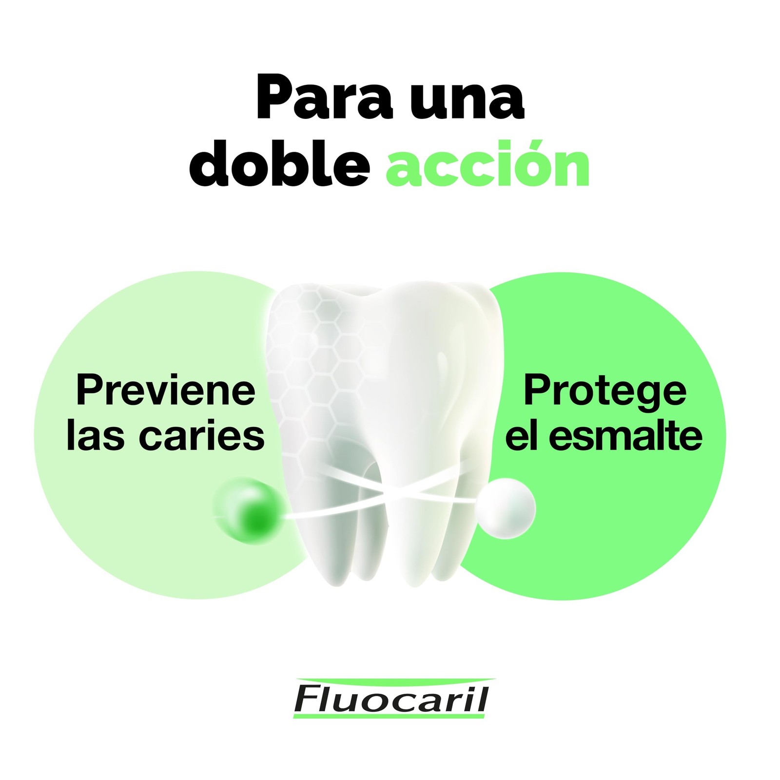 Fluocaril Bi-Fluore Duplo 145mg, Mint 2 x 75ml, Neutral, Standard