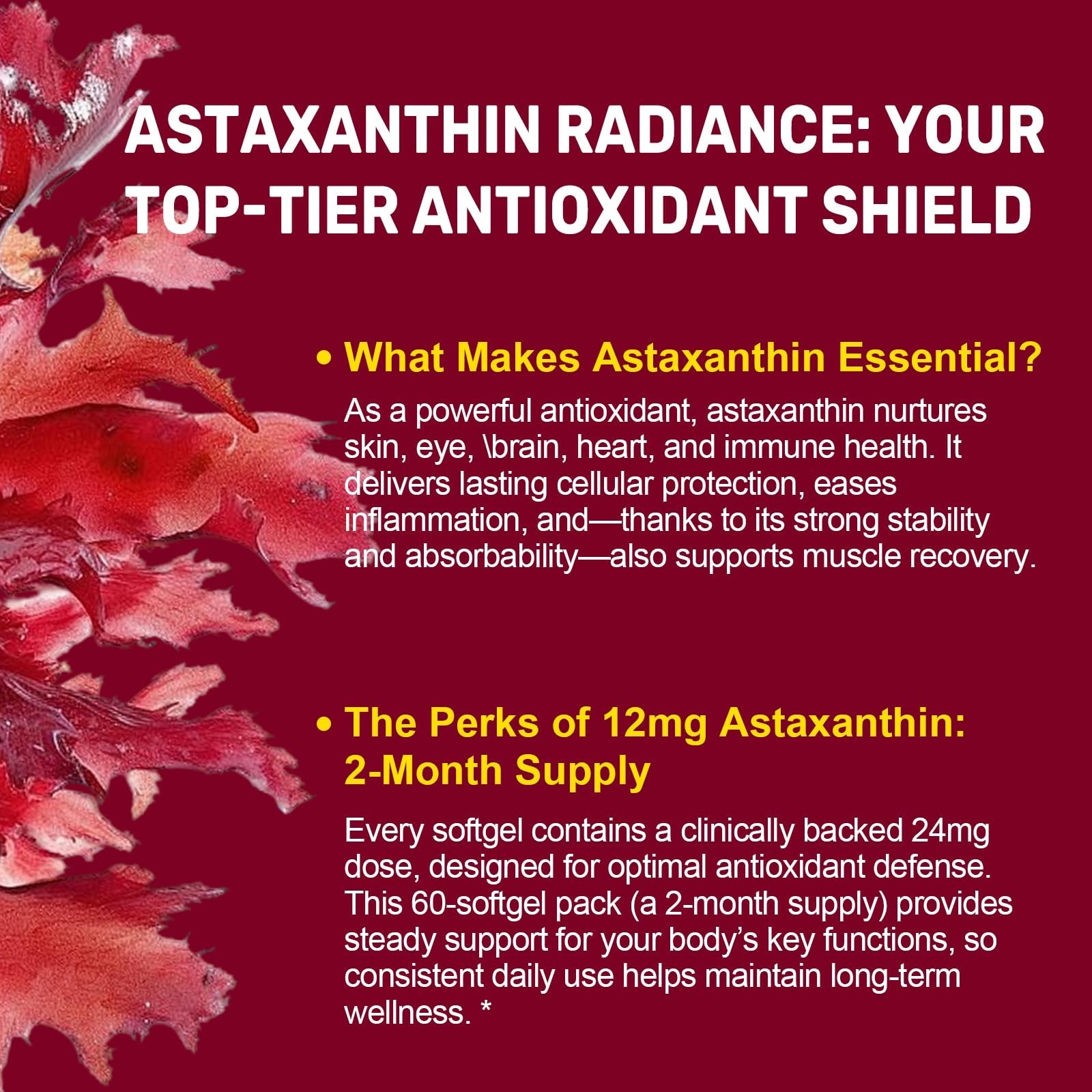 Astaxanthin 24mg with MCT Oil – 120 Softgels, Antioxidant Supplement for Skin &