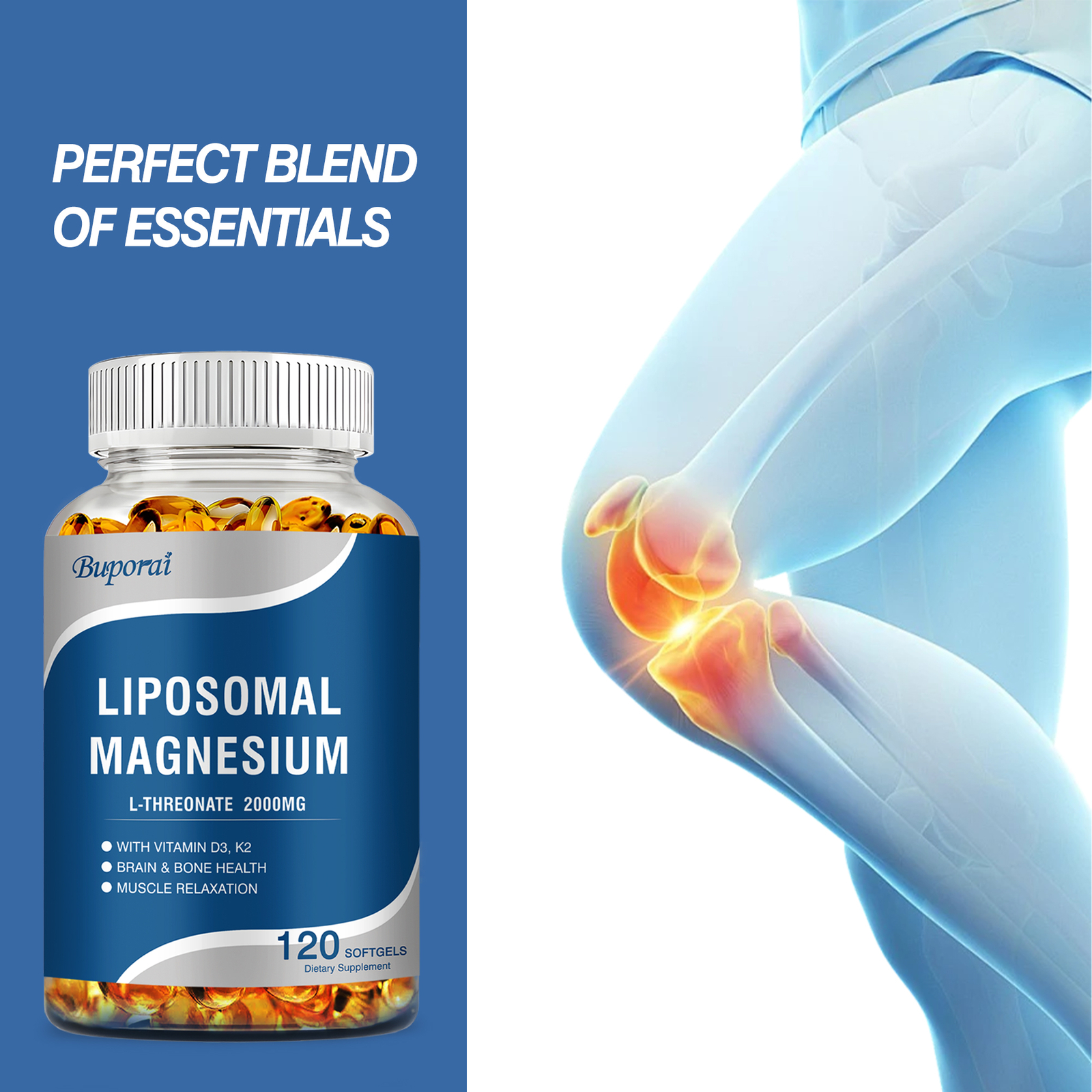 Liposomal Magnesium L-Threonate – Brain, Heart, Bone, Muscle & Sleep Support