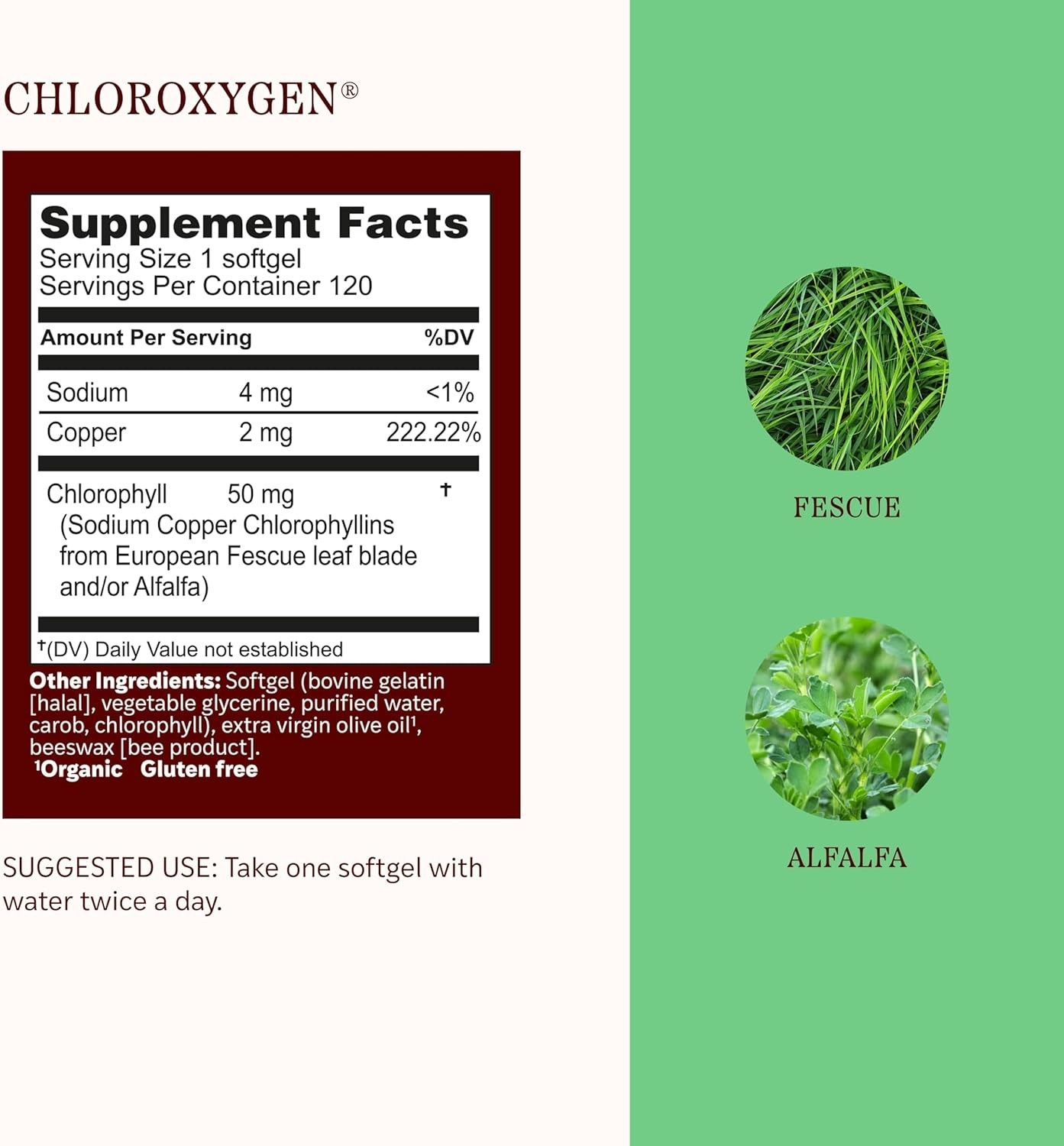 ChlorOxygen Chlorophyll Softgels – High-Potency Detox & Skin Support, 240 Count