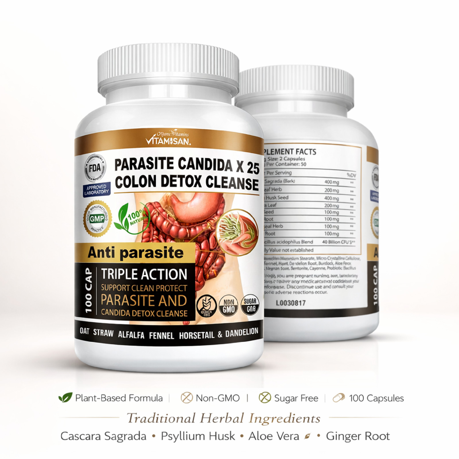 Candida Colon Detox Cleanse support Antifungal parasite candida cleans Dandelion