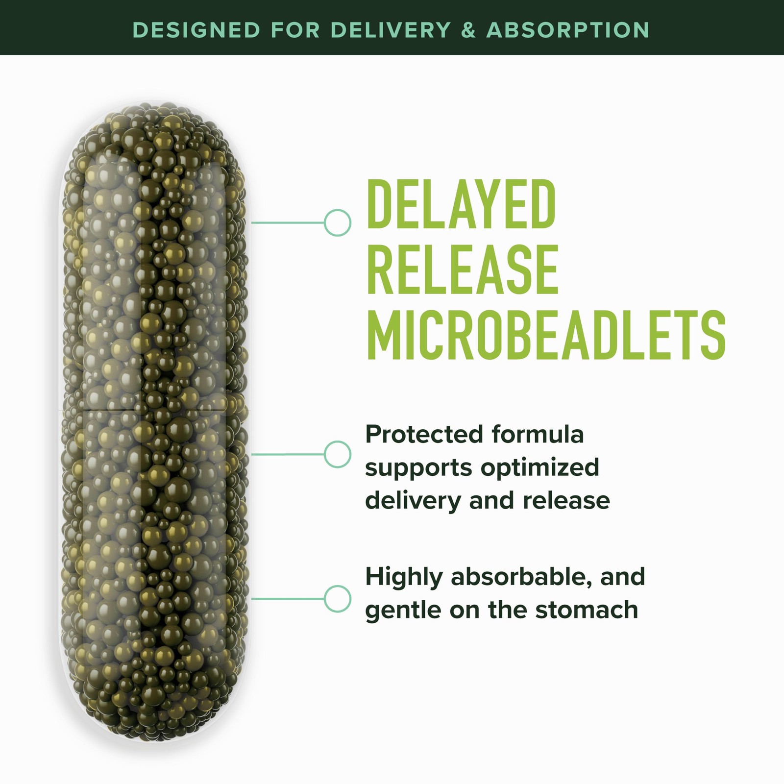 50MG Sulforaphane Supplement from Broccoli Sprouts NRF2 60 Count 60 Ct