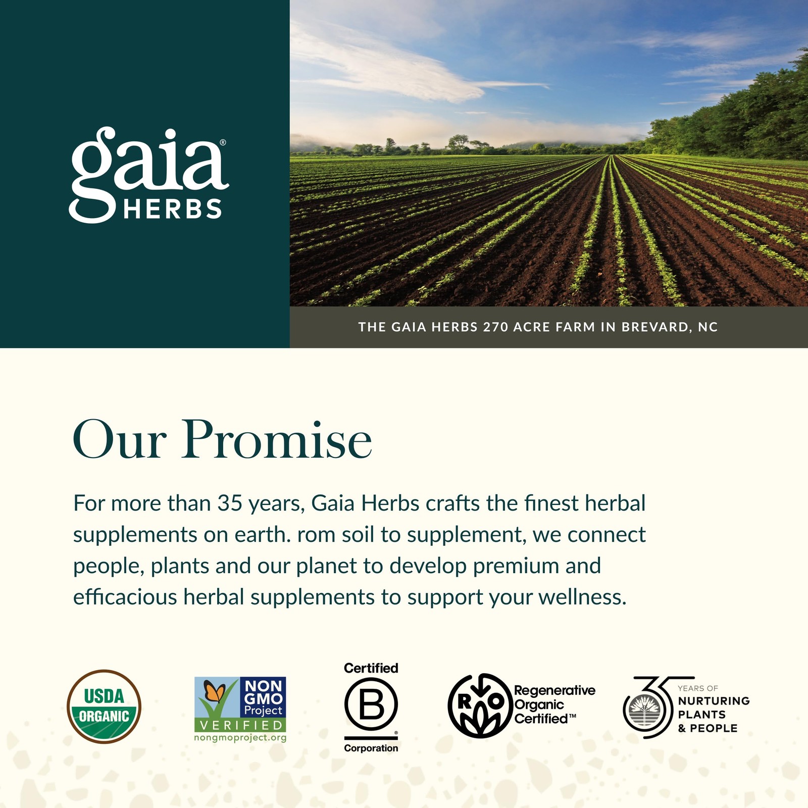 Gaia Herbs Thyroid Support – Made with Ashwagandha, Kelp, Brown Seaweed & Sch…