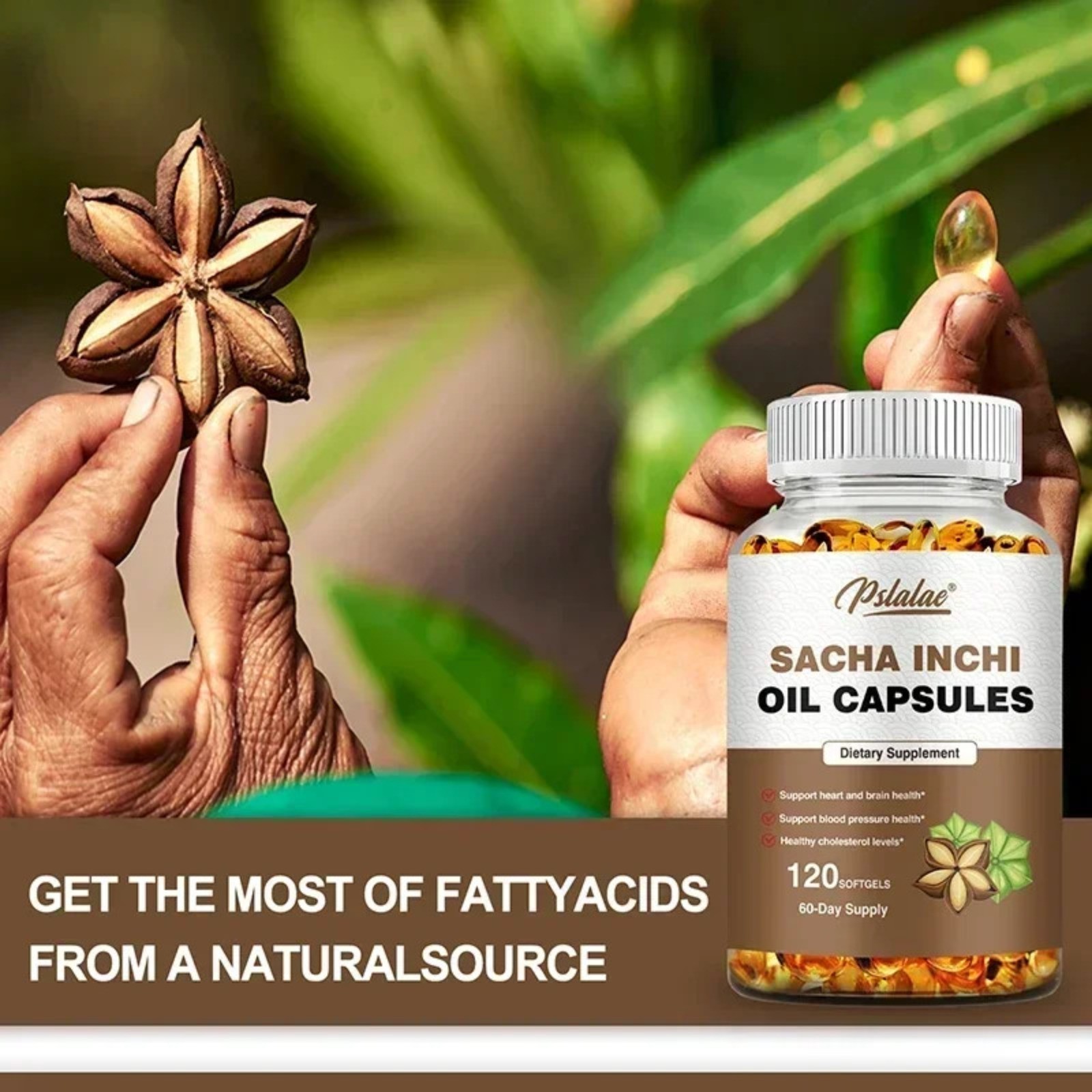Sacha Inchi Oil 240pcs – Heart, Joint & Brain Health, Boosts Immunity & Vitality