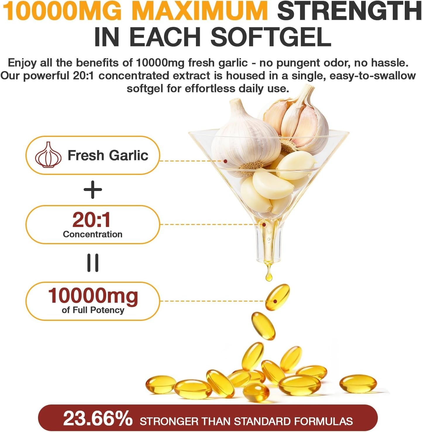 Aged Garlic Extract – 300 Count Aged Garlic Supplements for Daily Wellness & …