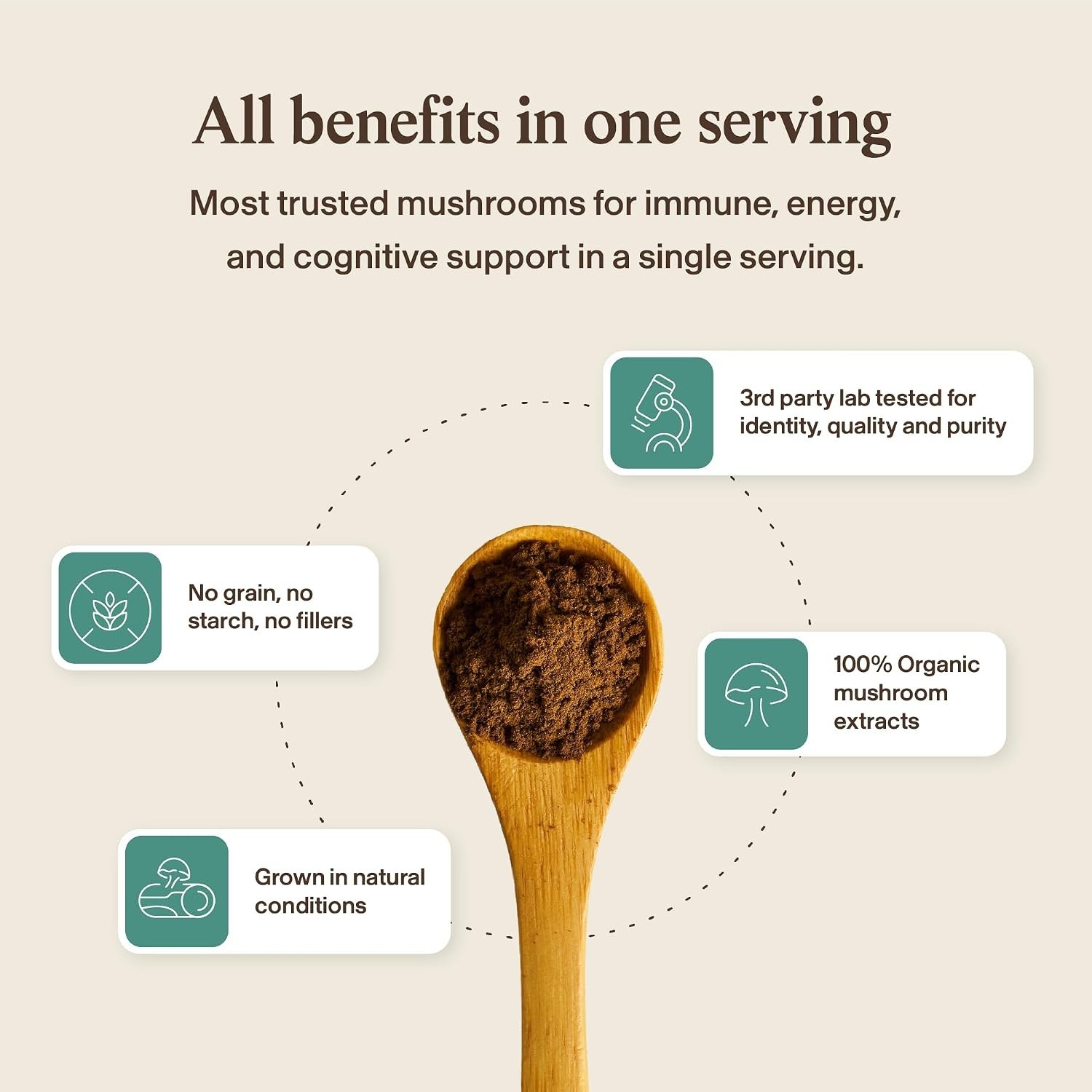 Functional Mushroom Extract – Gluten-Free Immune Support Powder, 1.58 Ounce