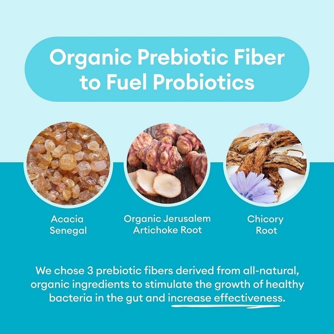 Physician’s Choice Probiotics 60 Billion CFU10 Strains + Organic Prebiotics NEW