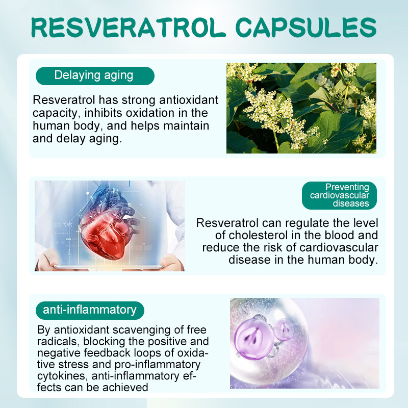 Resveratrol Supplement 1200mg Antioxidant Highly Potent Natural 120pcs Capsules
