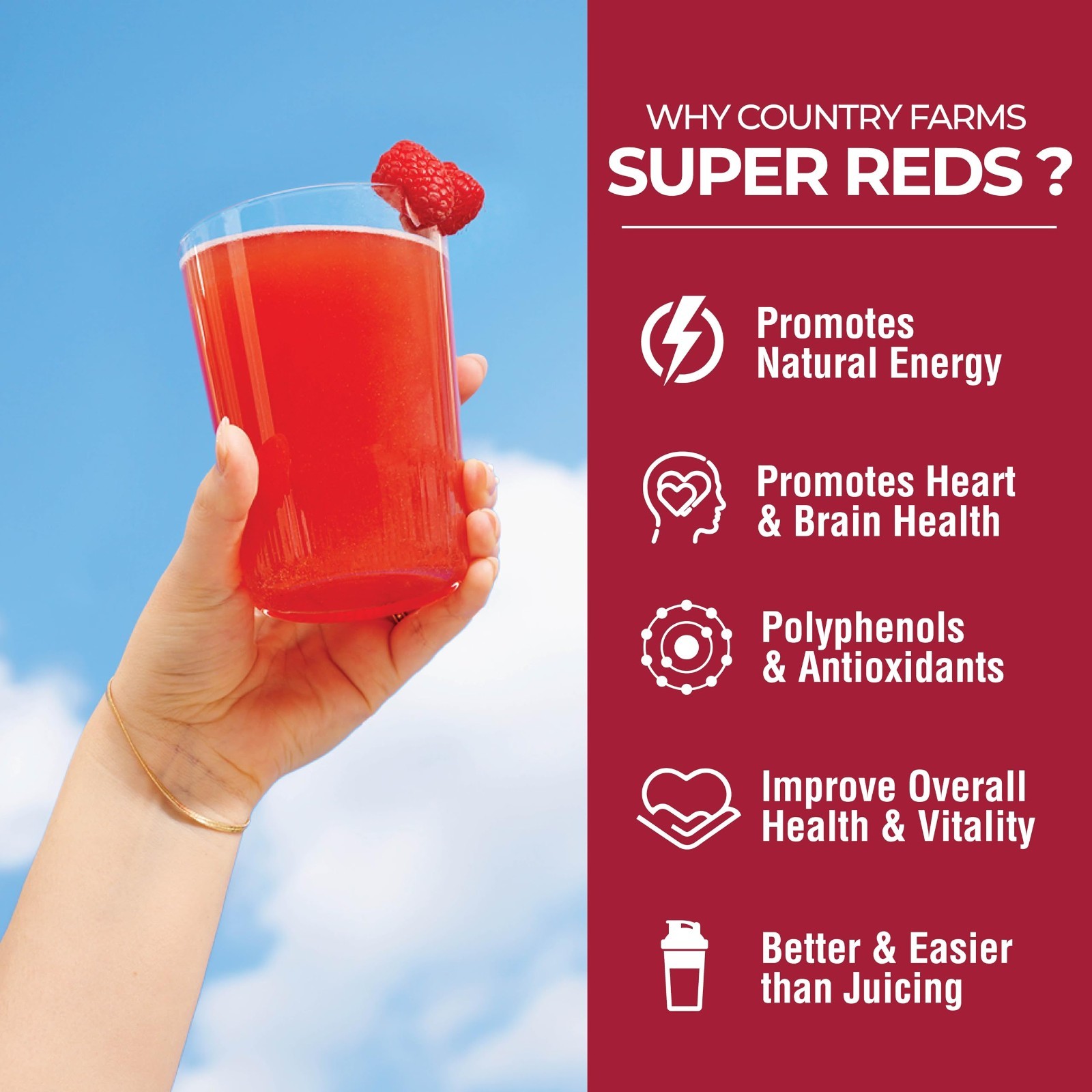 Energizing Superfood Powder – 48 Fruits & Berries, Antioxidants, Energy Boost, 2