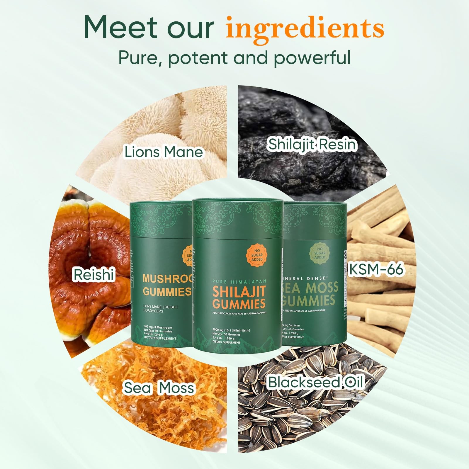 Xuore Bundle Of Shilajit Sea Gummies Lions Mane Reishi Cordyceps Ashwagandha 75