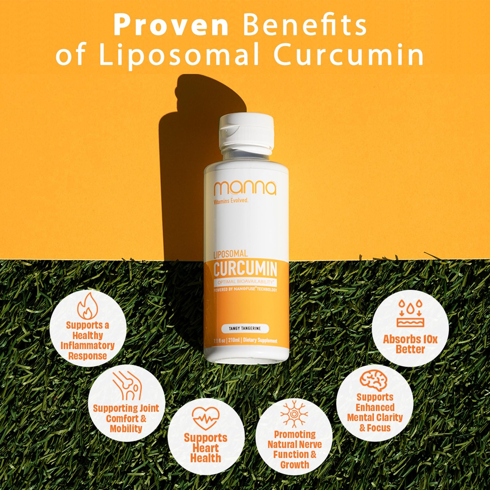 Manna Vitamins Evolved Liquid Liposomal Curcumin Turmeric Supplement 7.6 Fl Oz