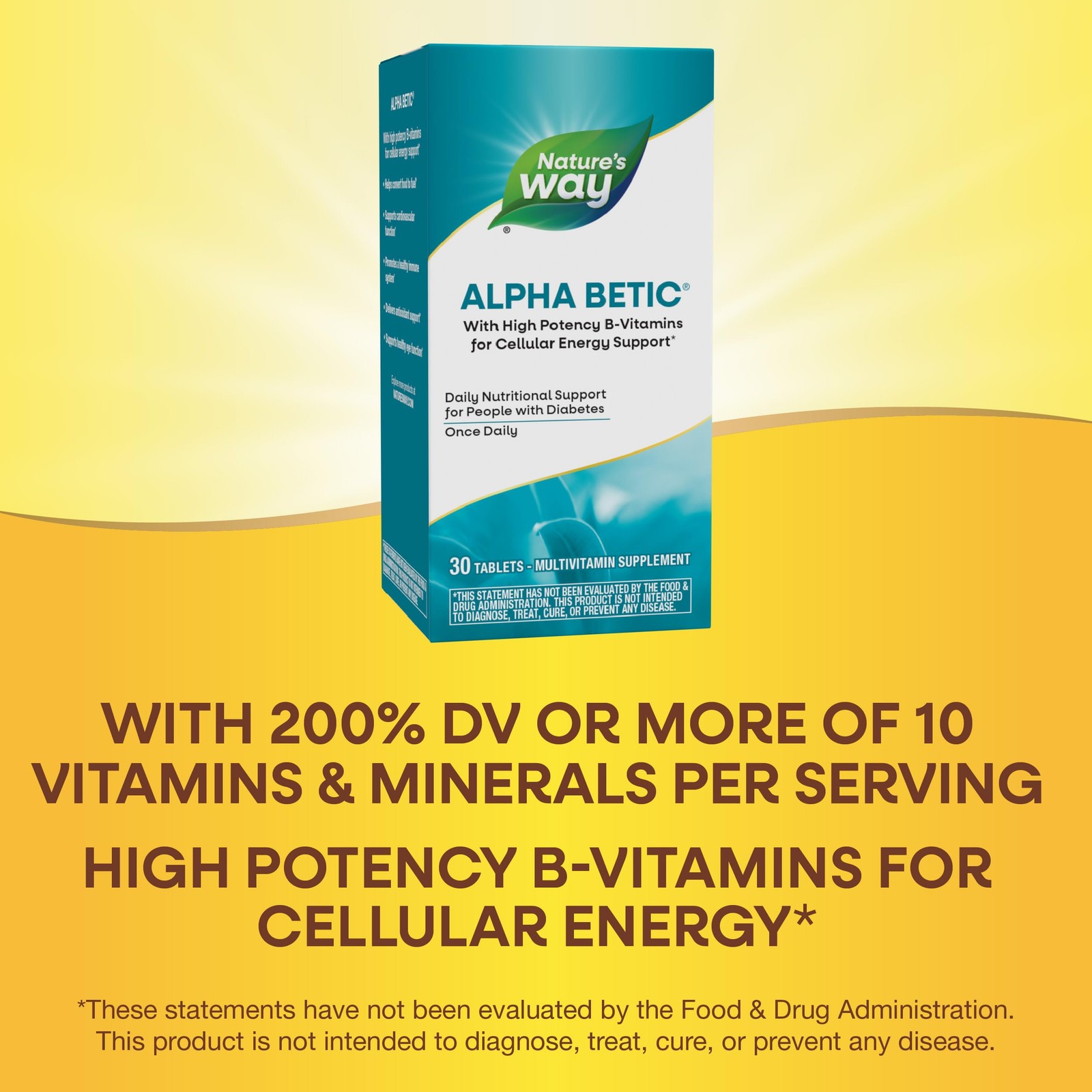 Nature’s Way alpha betic, Diabetic Multivitamin for 30 Count (Pack of 1)