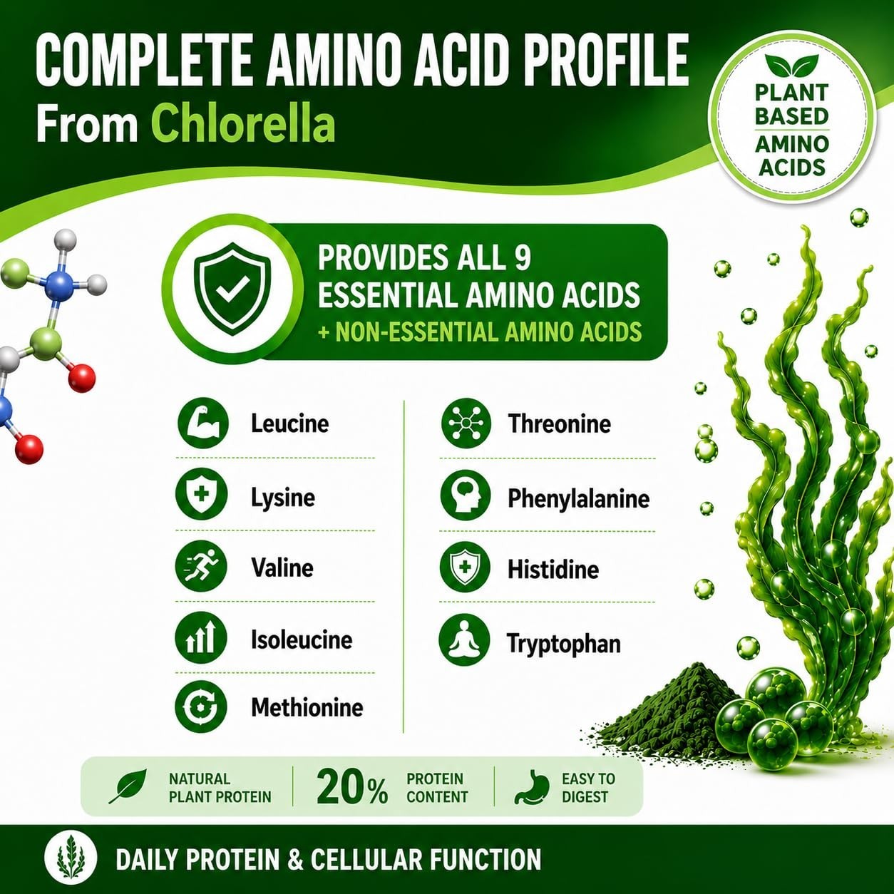 3000mg Chlorella Capsules – Cracked Cell Wall Blue Green Algae Detox Supplement,