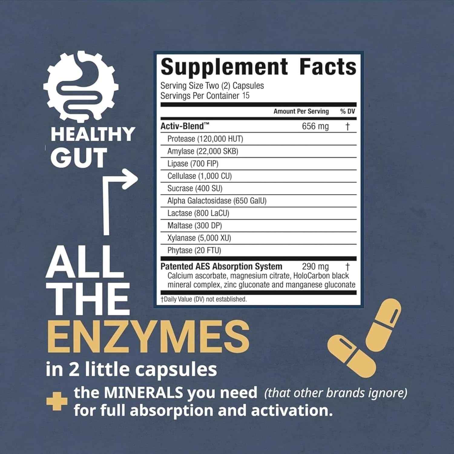 Digestive Enzymes-Healthy Gut HoloZyme Max Strength, 15 Servings-30 Count