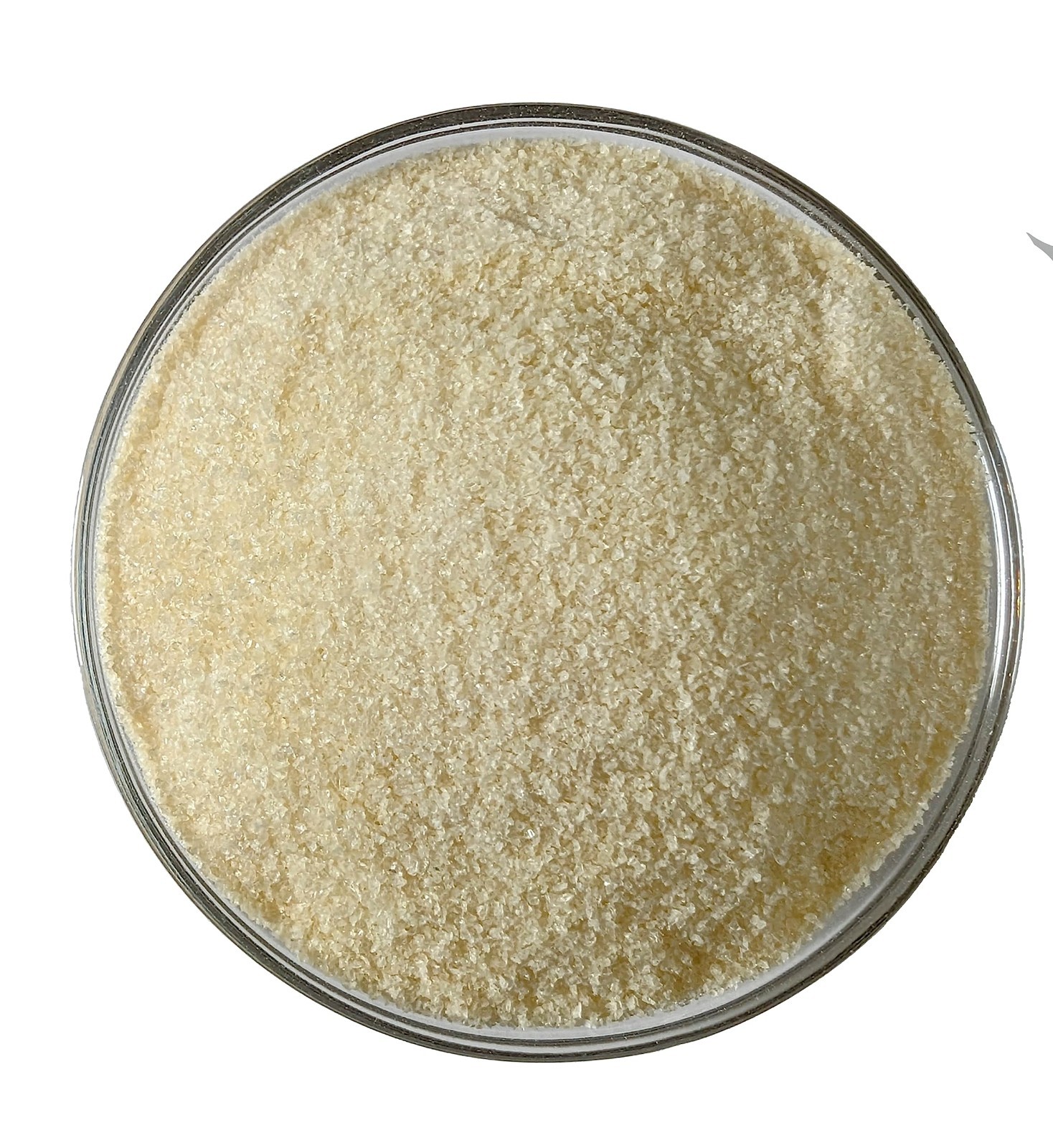 Unflavored Gelatin Powder 1.25 lbs – Thickening Agent in Reusable Container, USA