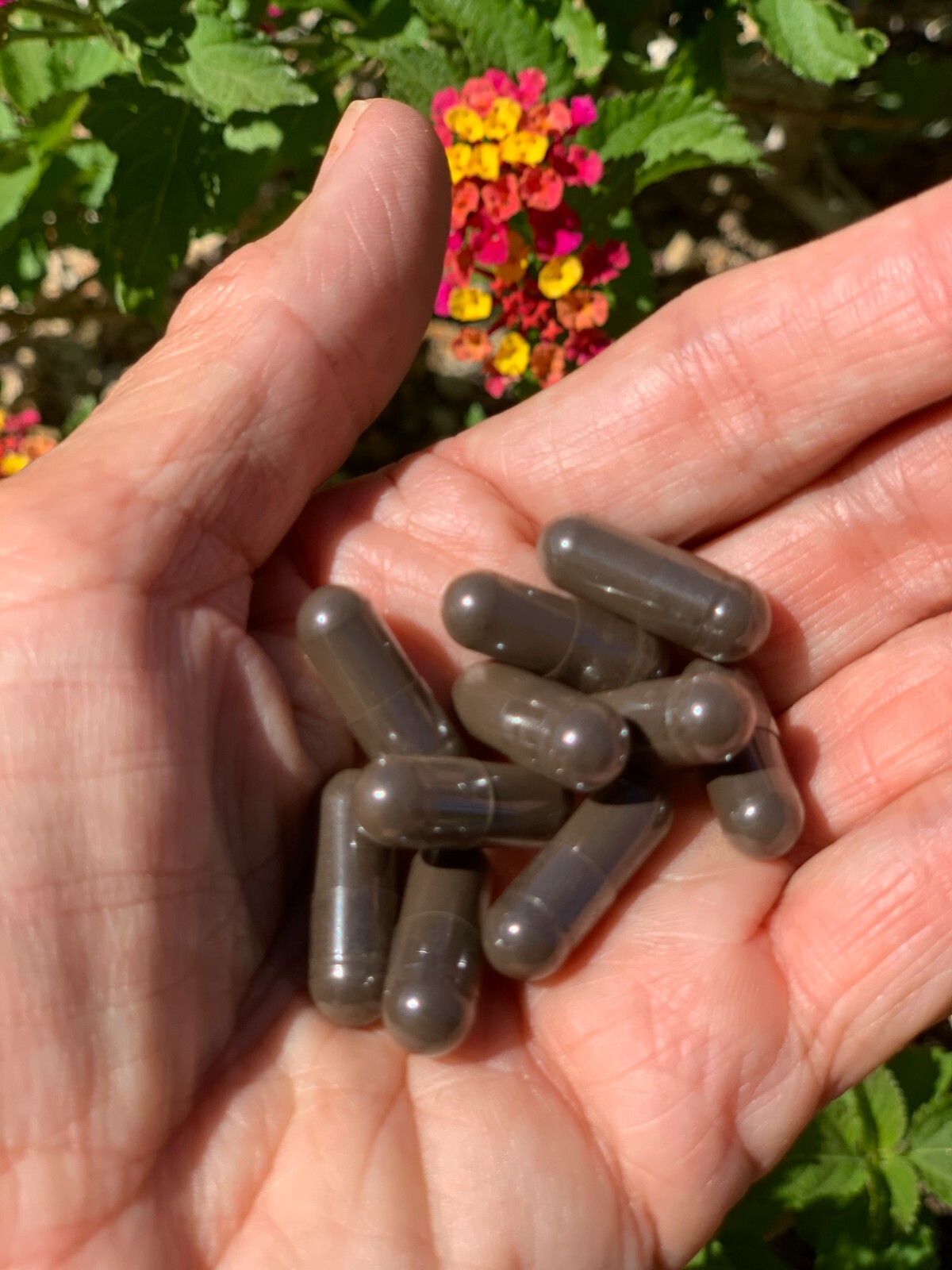 Plant-Sourced Minerals 120ct (Organic Trace Minerals and Antioxidants)