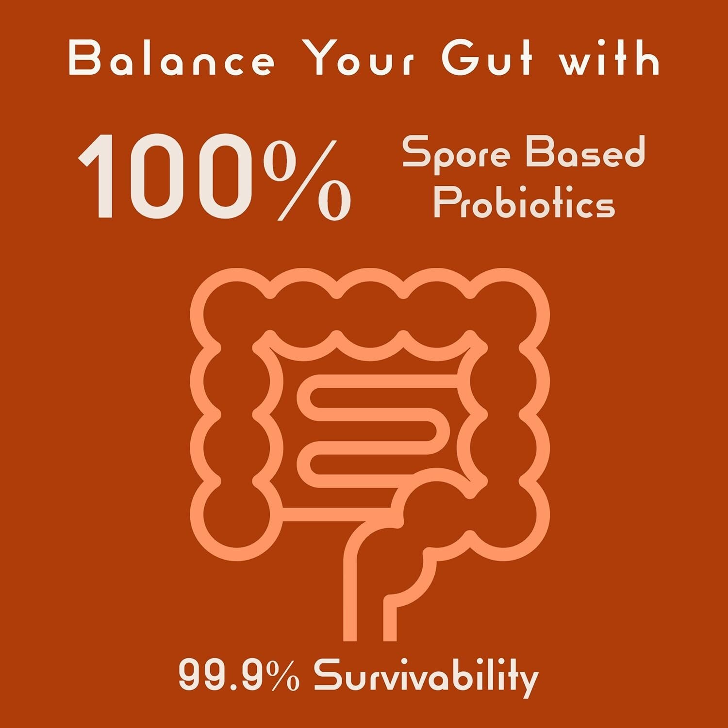 Bacillus B3 Probiotics – Bacillus Subtilis, Coagulans Clausii Enzymes prebiotic