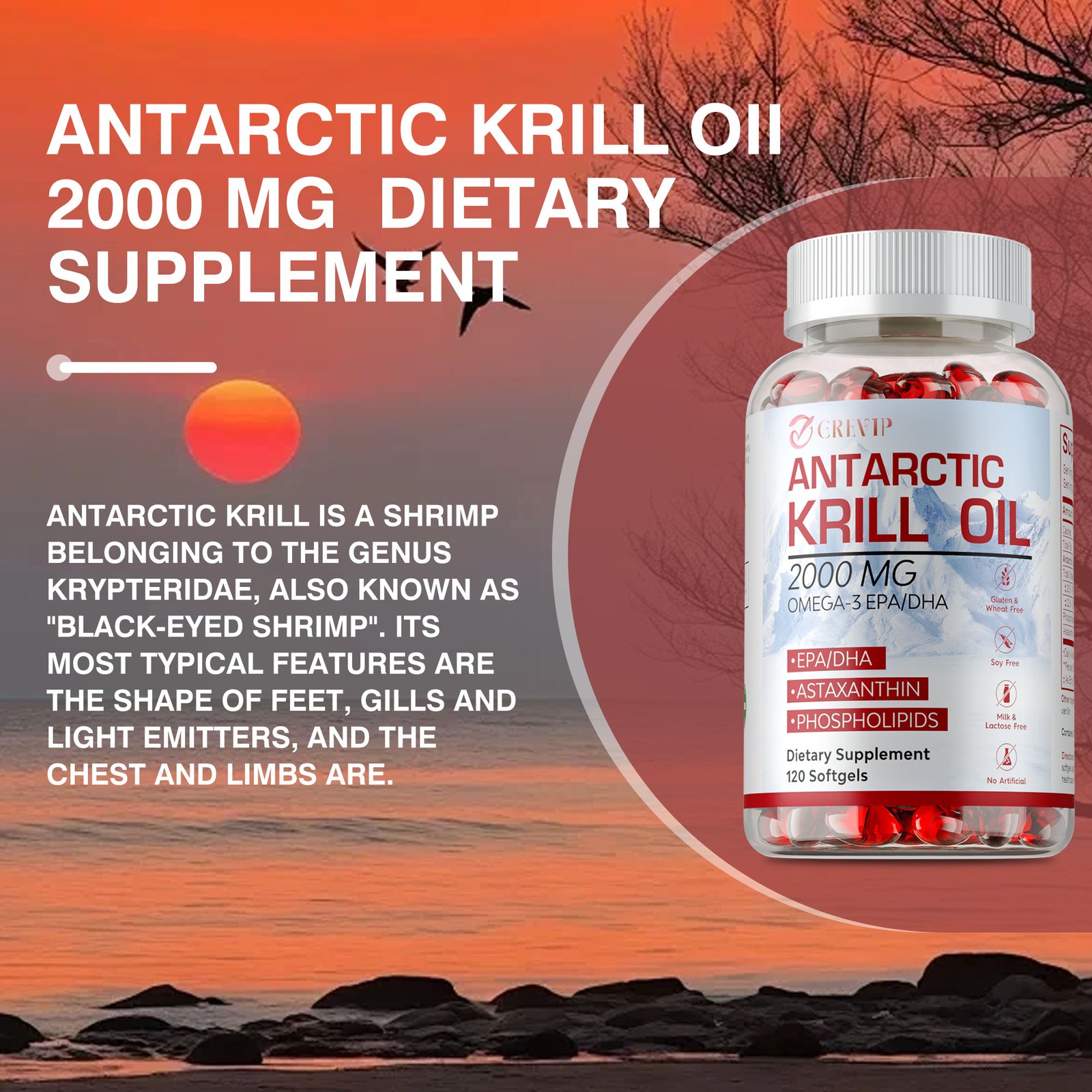 Antarctic Krill Oil Capsules – with Omega-3 EPA,DHA,Astaxanthin & Phospholipids