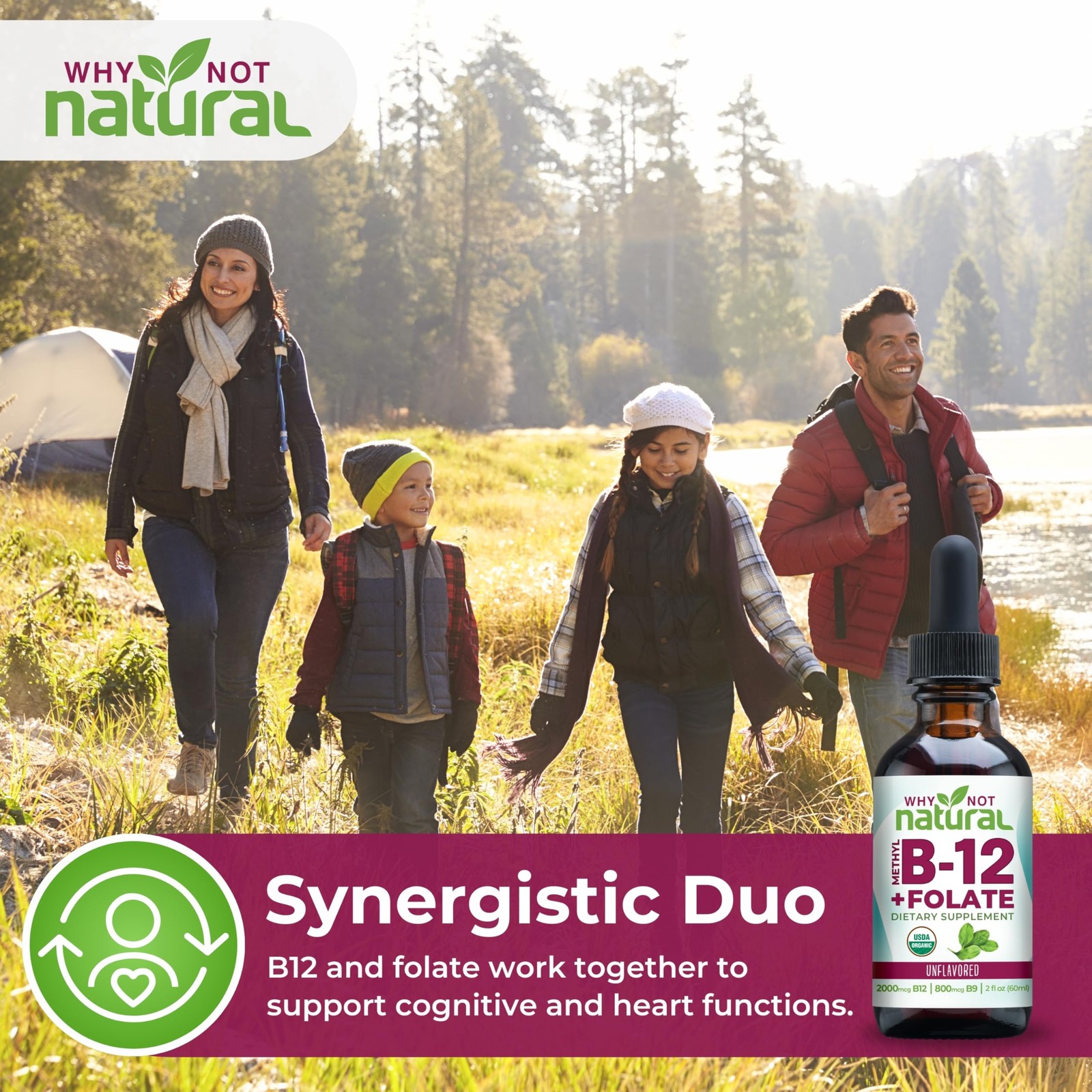 Why Not Natural Vitamin B12 Liquid Plus Folate – 2 Fl Oz (Pack of 1), Red