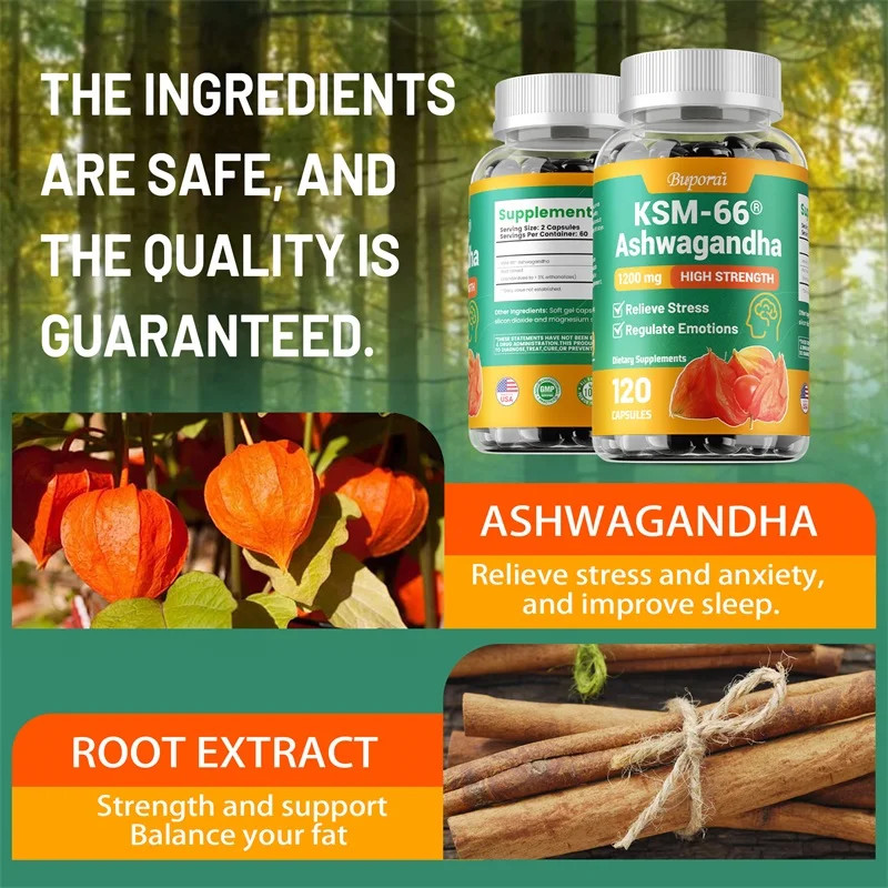 KSM-66 Ashwagandha 120pcs – Deep Sleep, Reduce Stress, Improve Brain Function