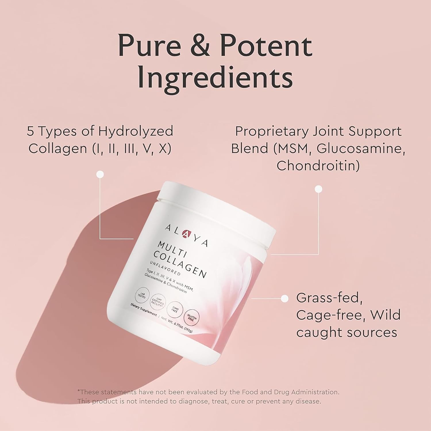 Alaya Multi Collagen Powder – Type I, II, III, V, X Hydrolyzed Collagen Peptide