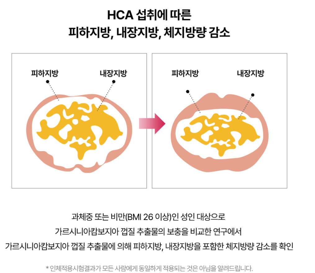 Foodology Choleology Burningology D-Day 3.8g*5 packs (5 days) K-Beauty