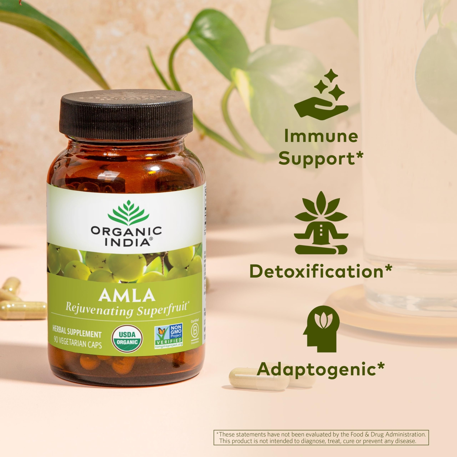 Organic India Amla Supplement 90 Count Stress Immune Detox Heart Health
