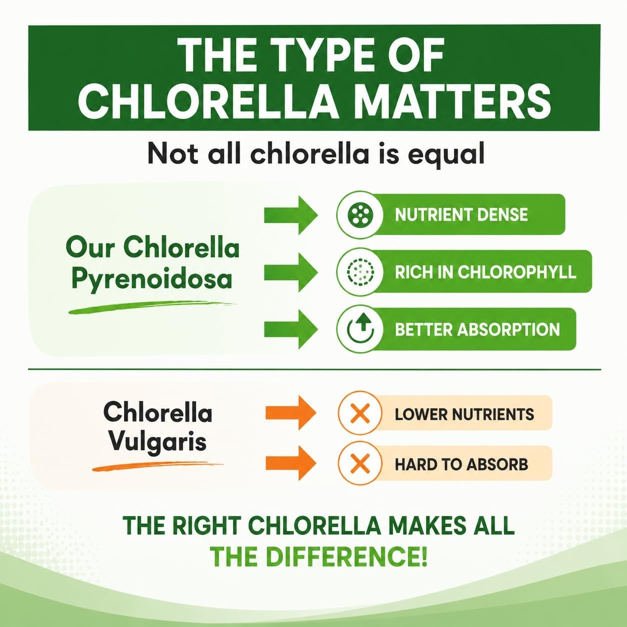 3000mg Chlorella Capsules – Cracked Cell Wall Blue Green Algae Detox Supplement,