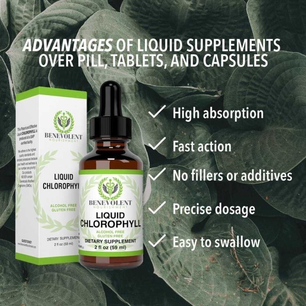NEW Benevolent Nourishment Liquid Chlorophyll Drops Herbal Supplement 2 fl oz