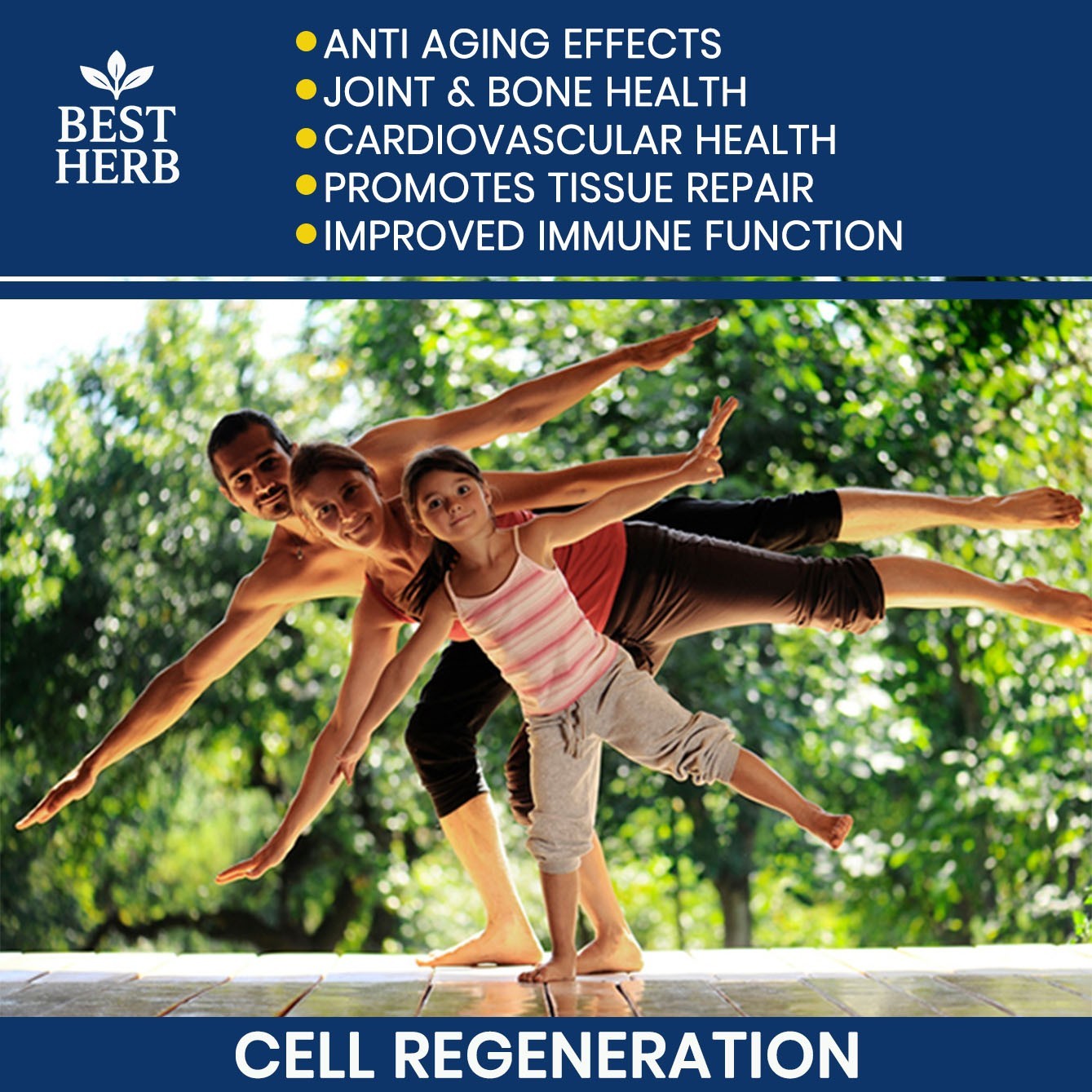 180 PILLS STEM CELL RECOVERY SUPPORT SUPPLEMENT CELLULAR REPAIR RENEWAL RECOVERY