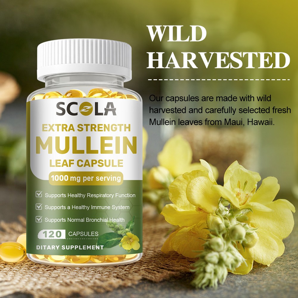 Mullein Leaf Capsules Extra Strength Support Respiratory Health Lung Detox 120Pc