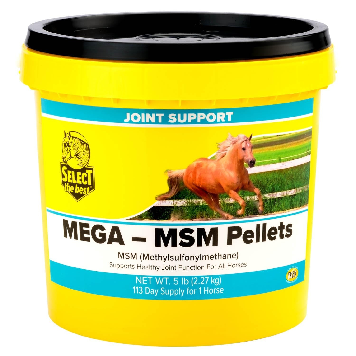 5 lb Mega MSM Pellets – Pure Joint Support Supplement for Healthy Mobility