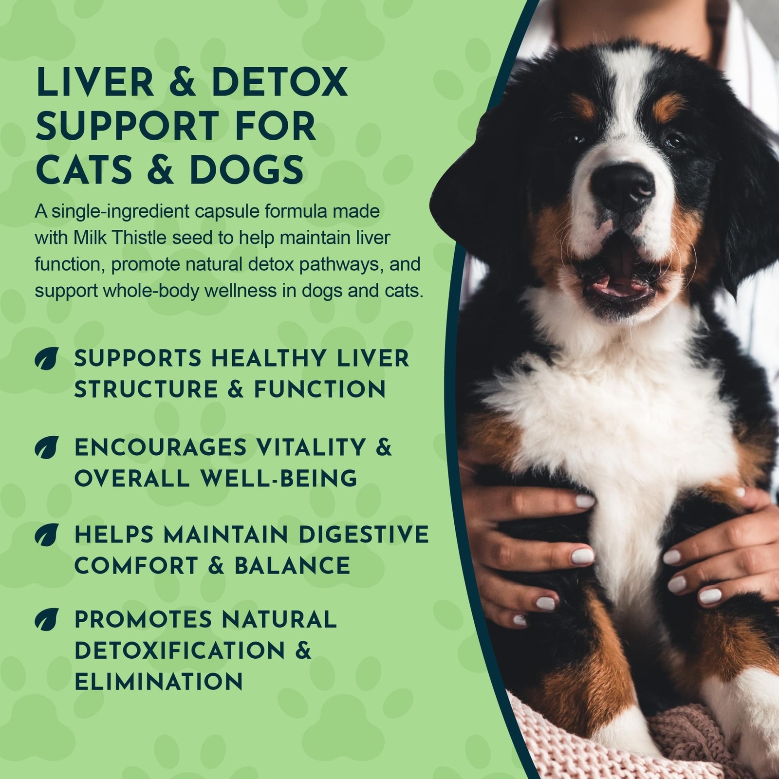 Milk Thistle for Dogs & Cats – Liver Support, Milk Thistle 150mg, Silymarin, …