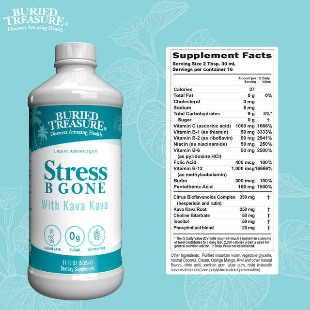 Buried Treasure Stress B Gone 16 fl oz