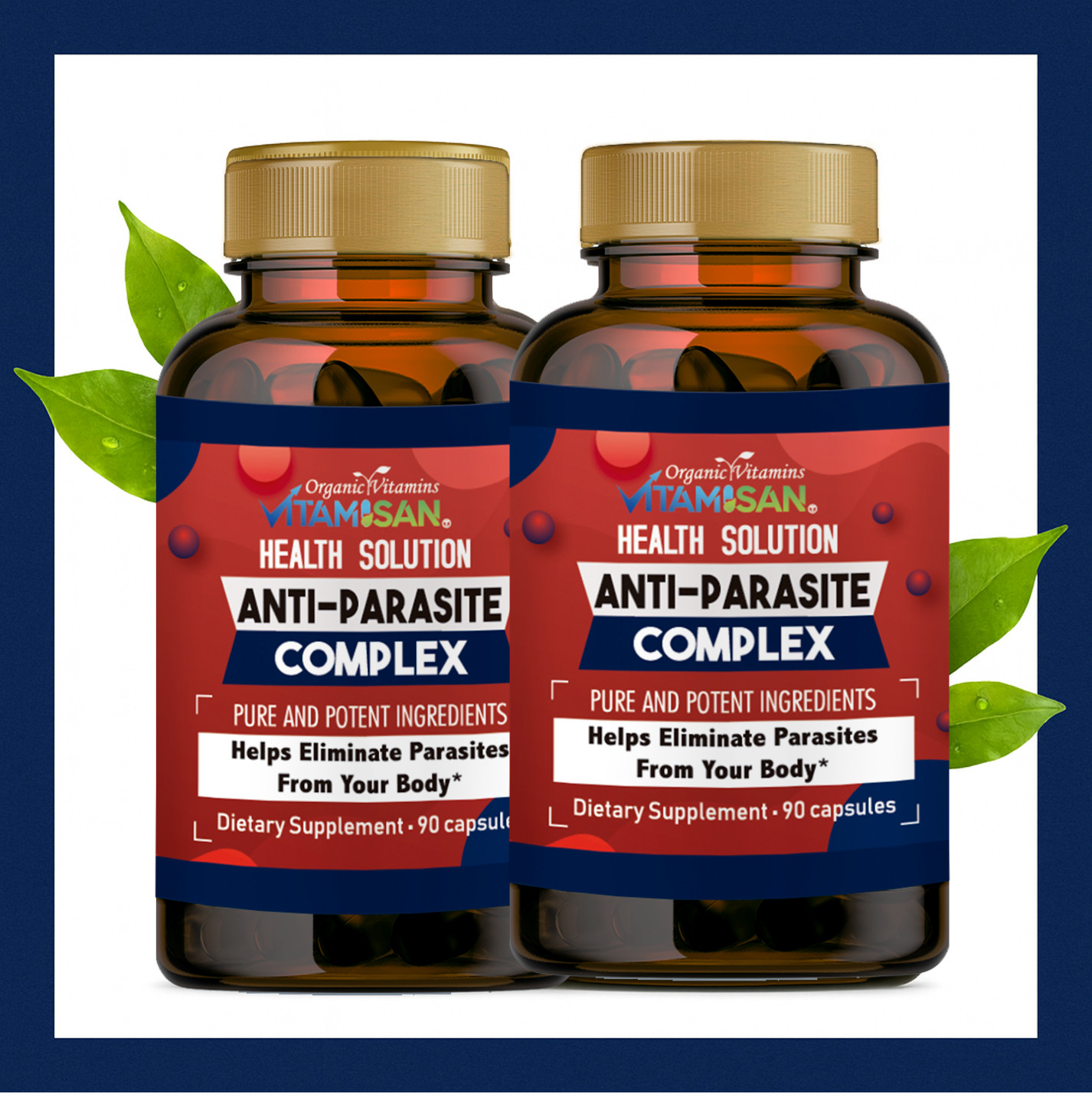 PARASITE DETOX BODY CLEANSE Complex Anti- PARASITE Support Detox Candida 180CAPS
