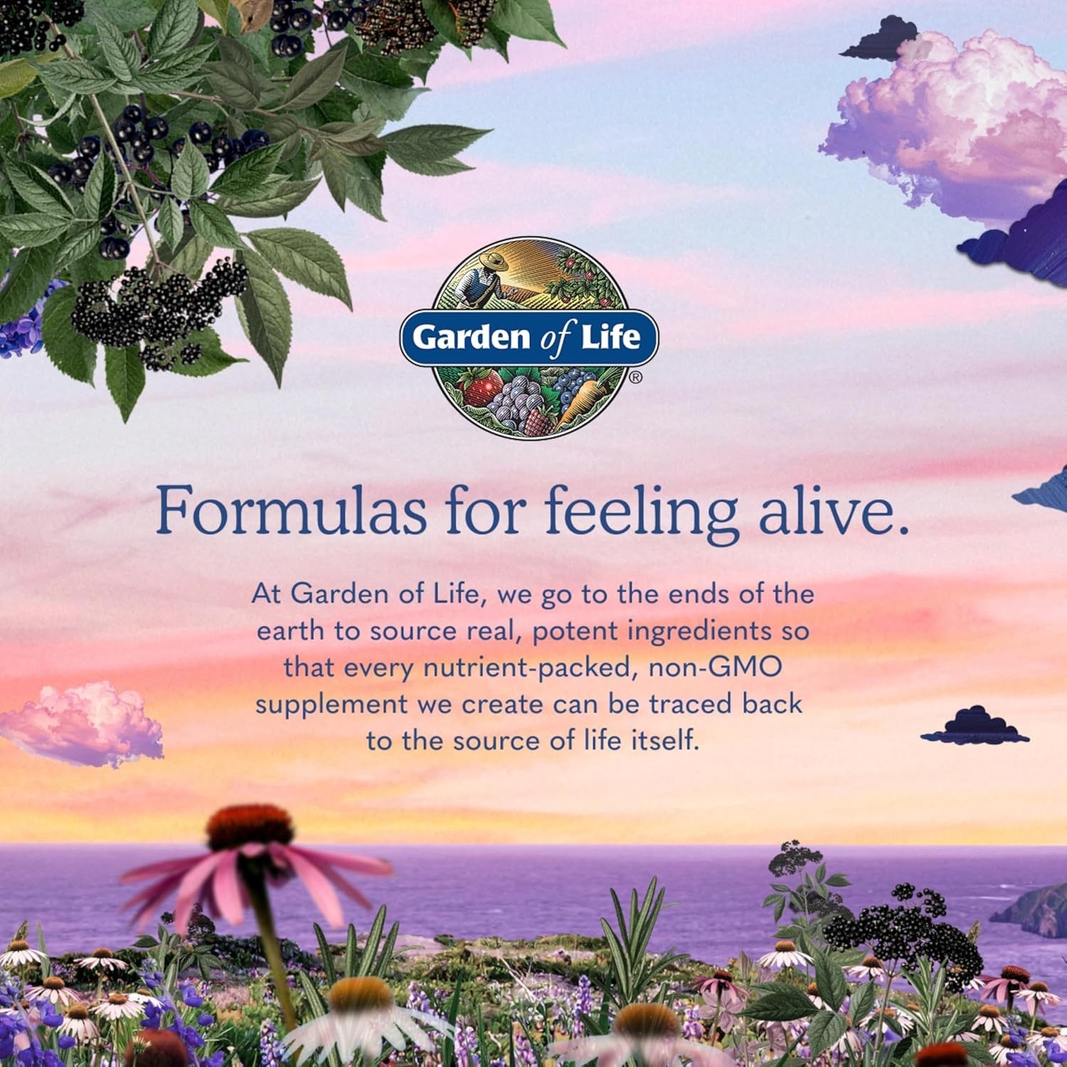 Once Daily Women’s Probiotics with Organic Prebiotics – 50 Billion CFU Formula