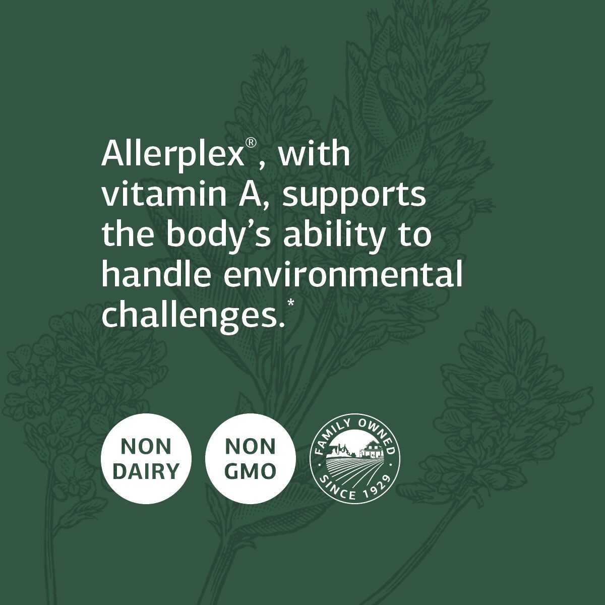 Standard Process Allerplex Whole Food Liver Support, Lung Health, 150 Capsules