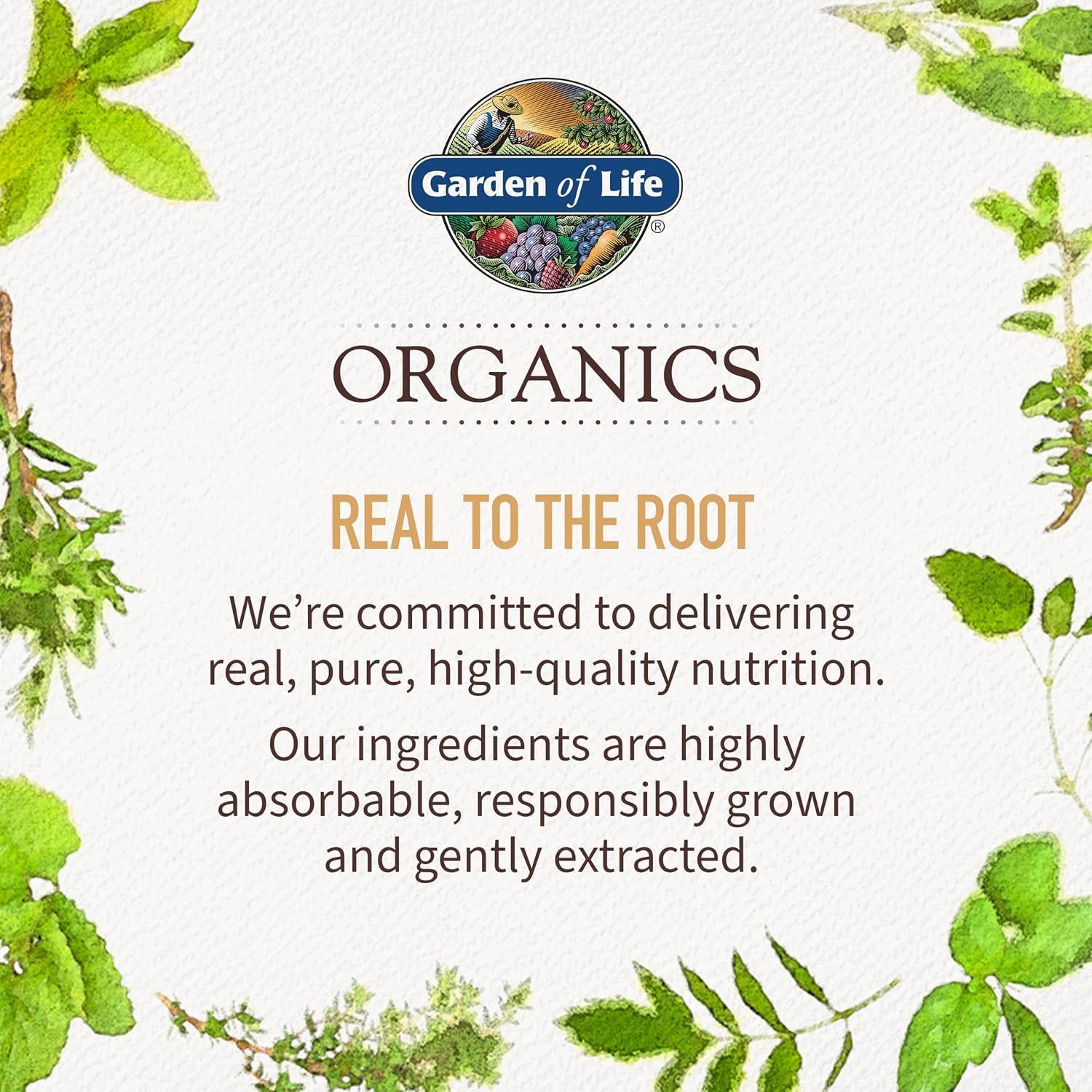 Garden of Life Organics Women’s Multivitamin 120 Tablets Vegan Non-GMO Vitamin