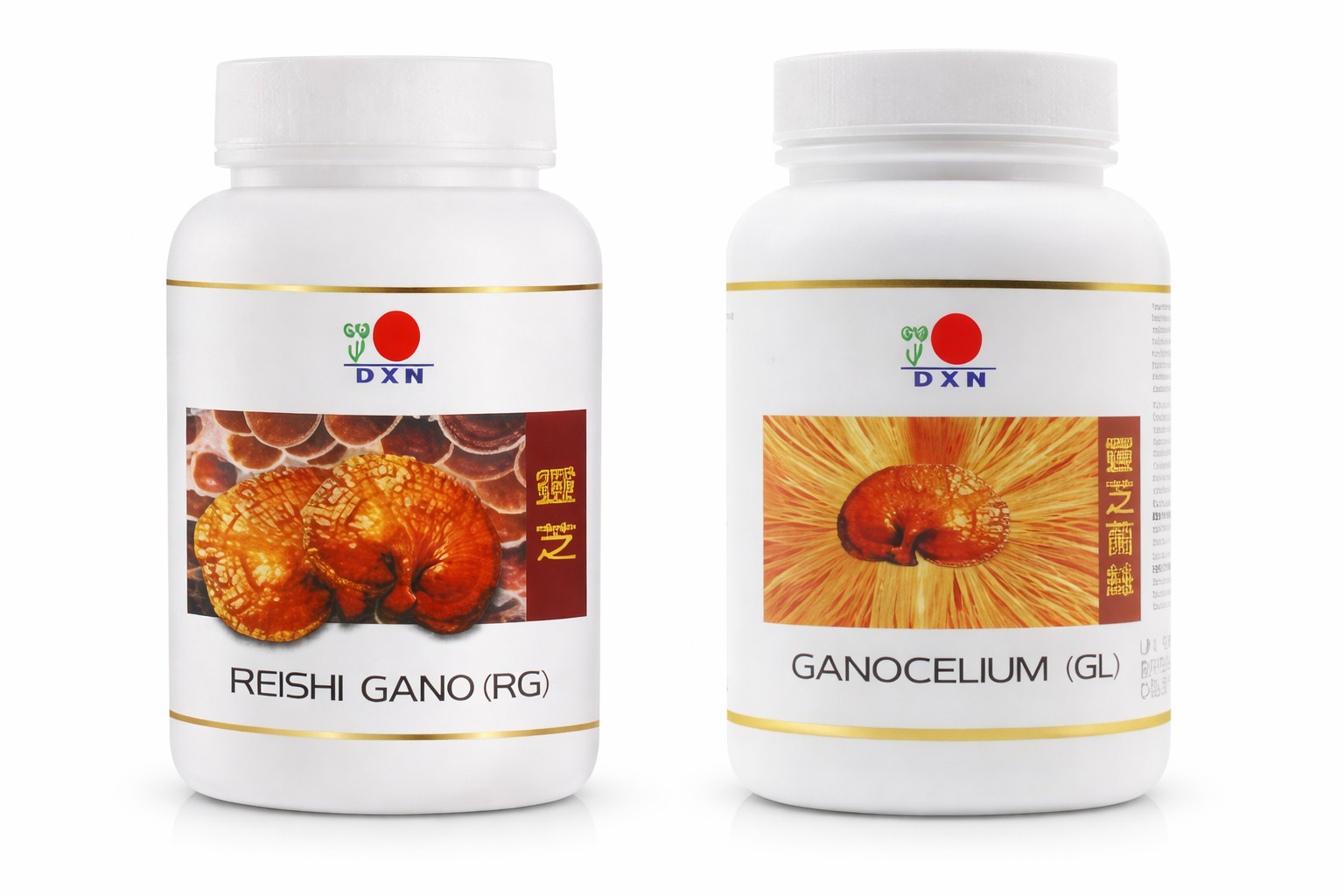 DXN 1 Bottle Reishi Gano RG 360 + 1 Ganocelium GL 360 Capsule | Fast Shipping