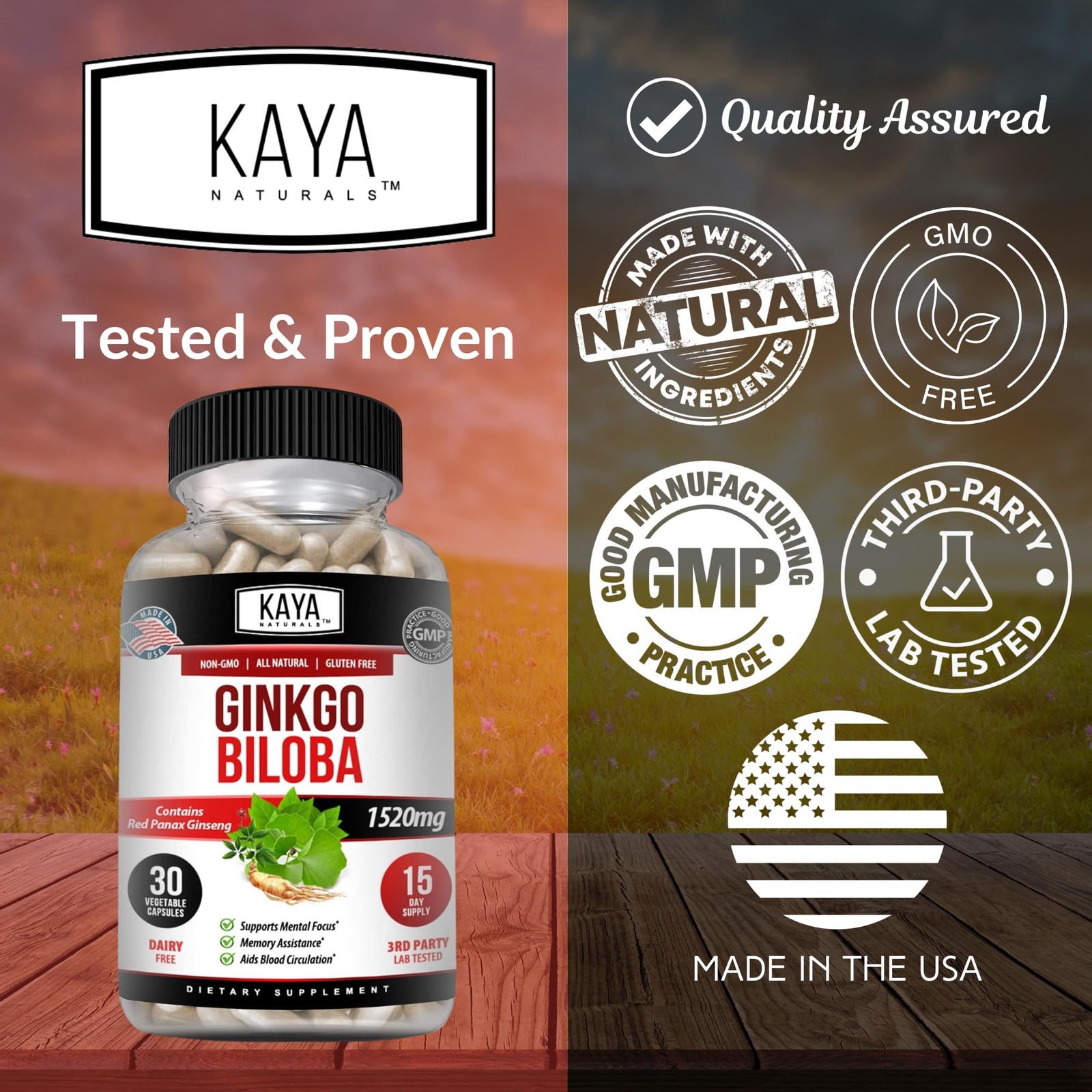 Kaya Naturals Red Panax Ginseng + Ginkgo Biloba – Nootropic Brain Supplement – C