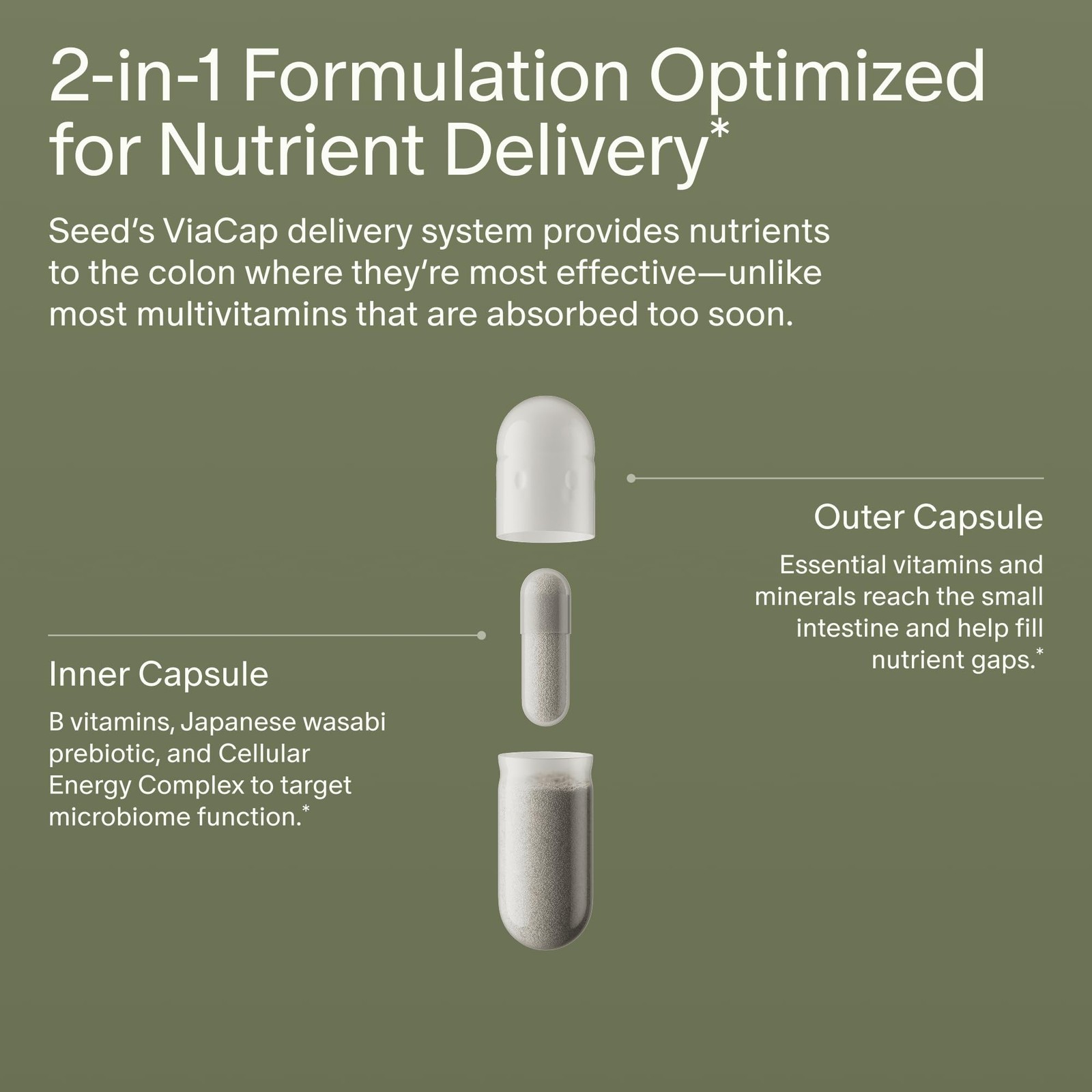 Seed DM-02 Daily Multivitamin – 100% DV Essential 30 Count (Pack of 1)