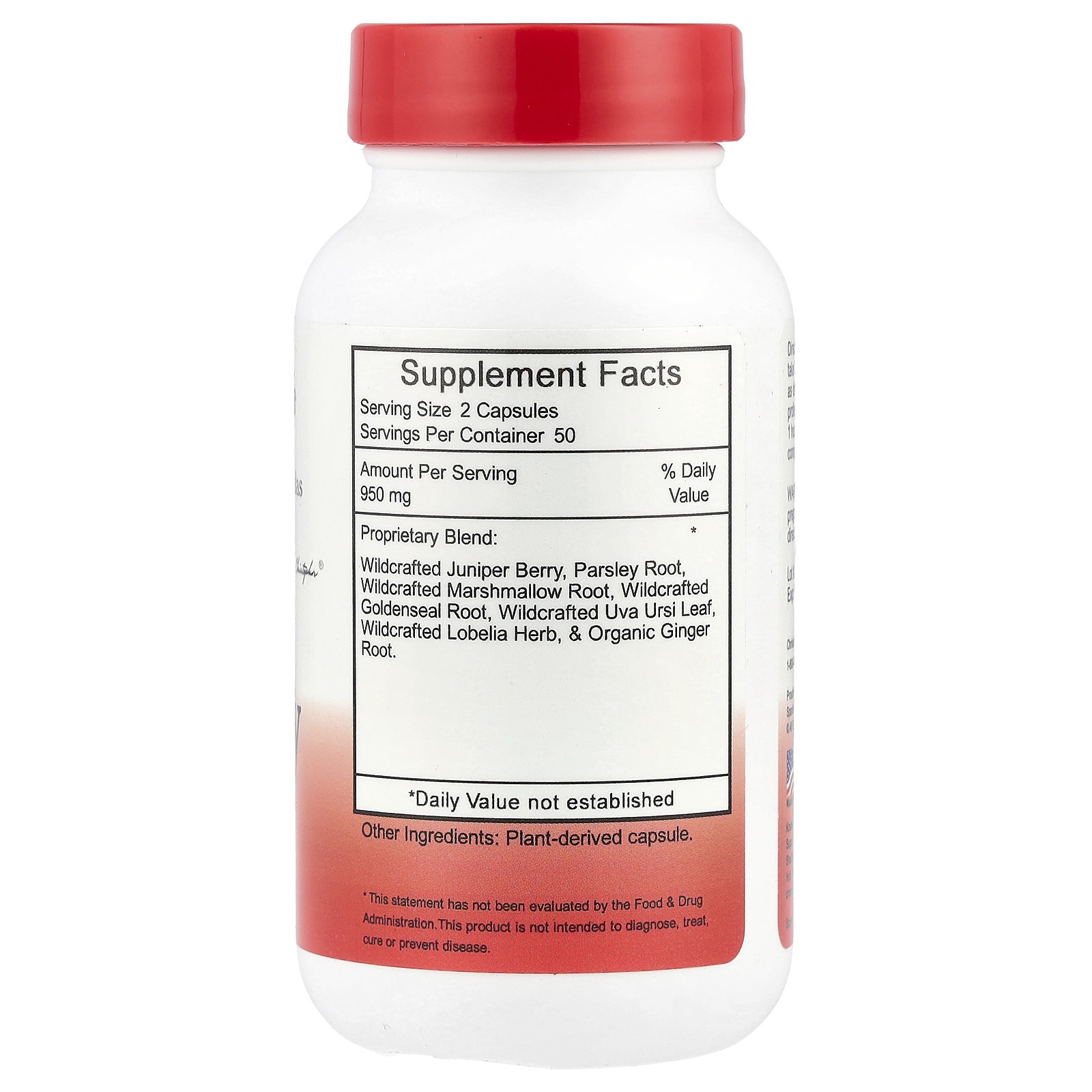 Kidney Formula, 475 mg, 100 Vegetarian Caps
