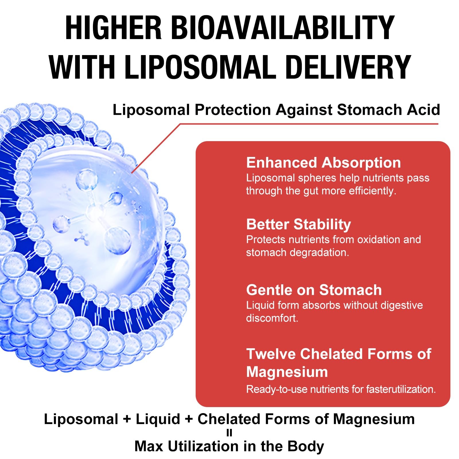 2 Packs 21-in-1 Liposomal 12 Active Magnesium Complex 2000MG+ Liquid Drops – …