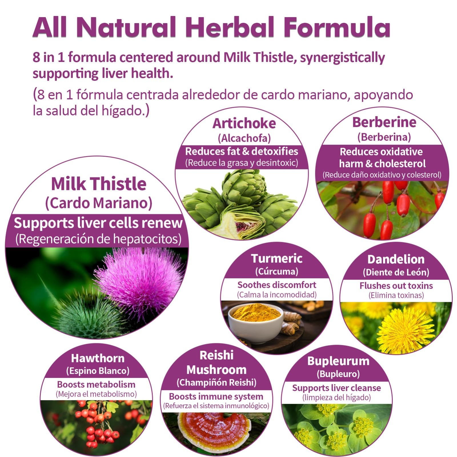 Liver Support Drops with Milk Thistle & Artichoke Extract – Detox & Repair 2 oz