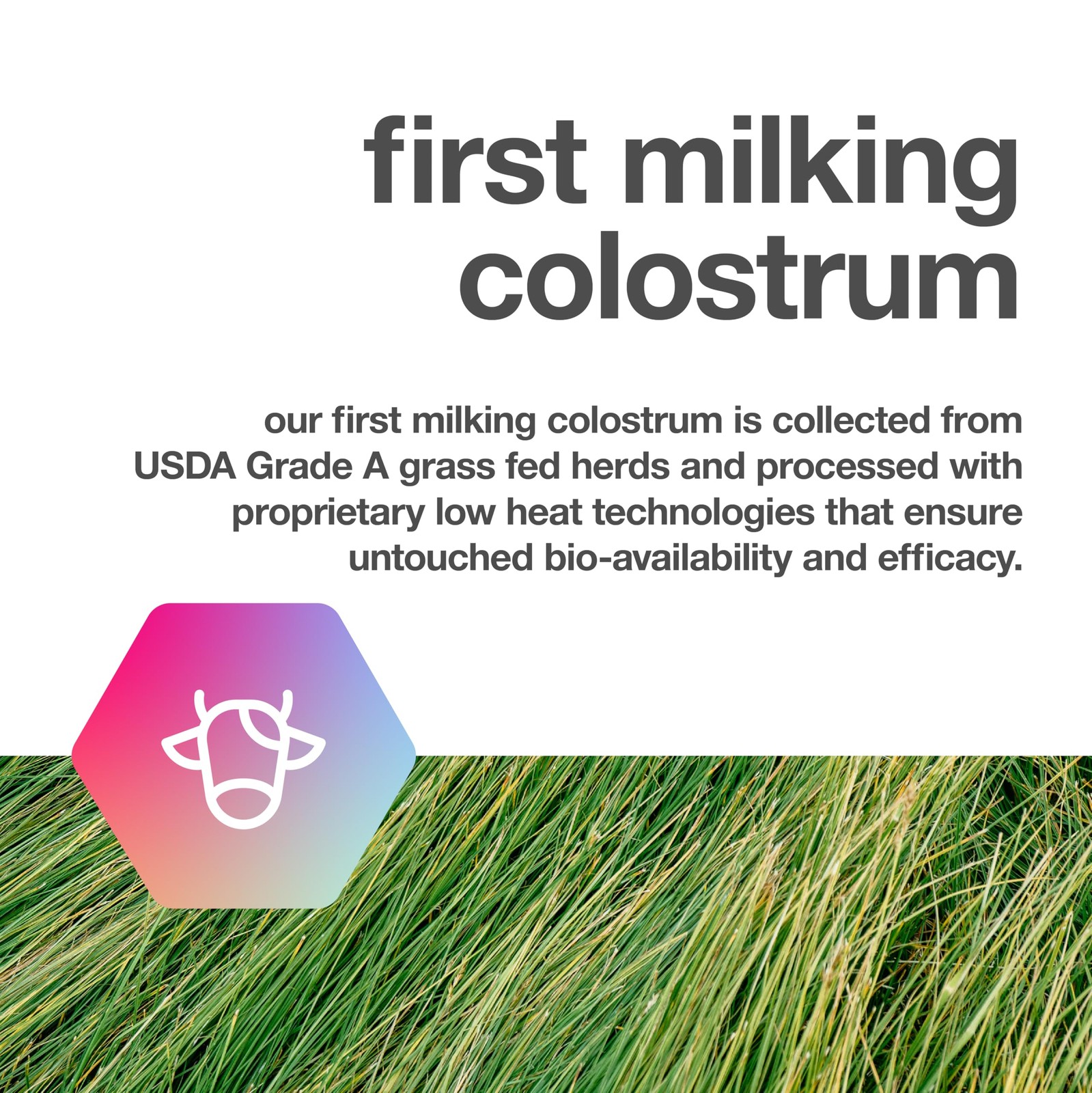 TBR Labs Pure Bovine Colostrum 180 Capsules – 180 Count (Pack of 1)