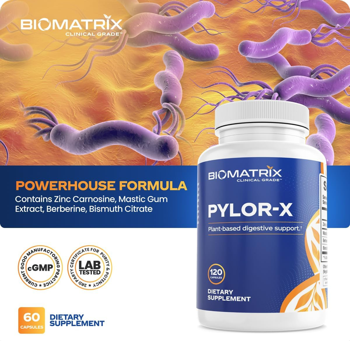 Pylor-X Gut Health Supplement – Mastic Gum, Berberine, Zinc Carnosine & Bismuth