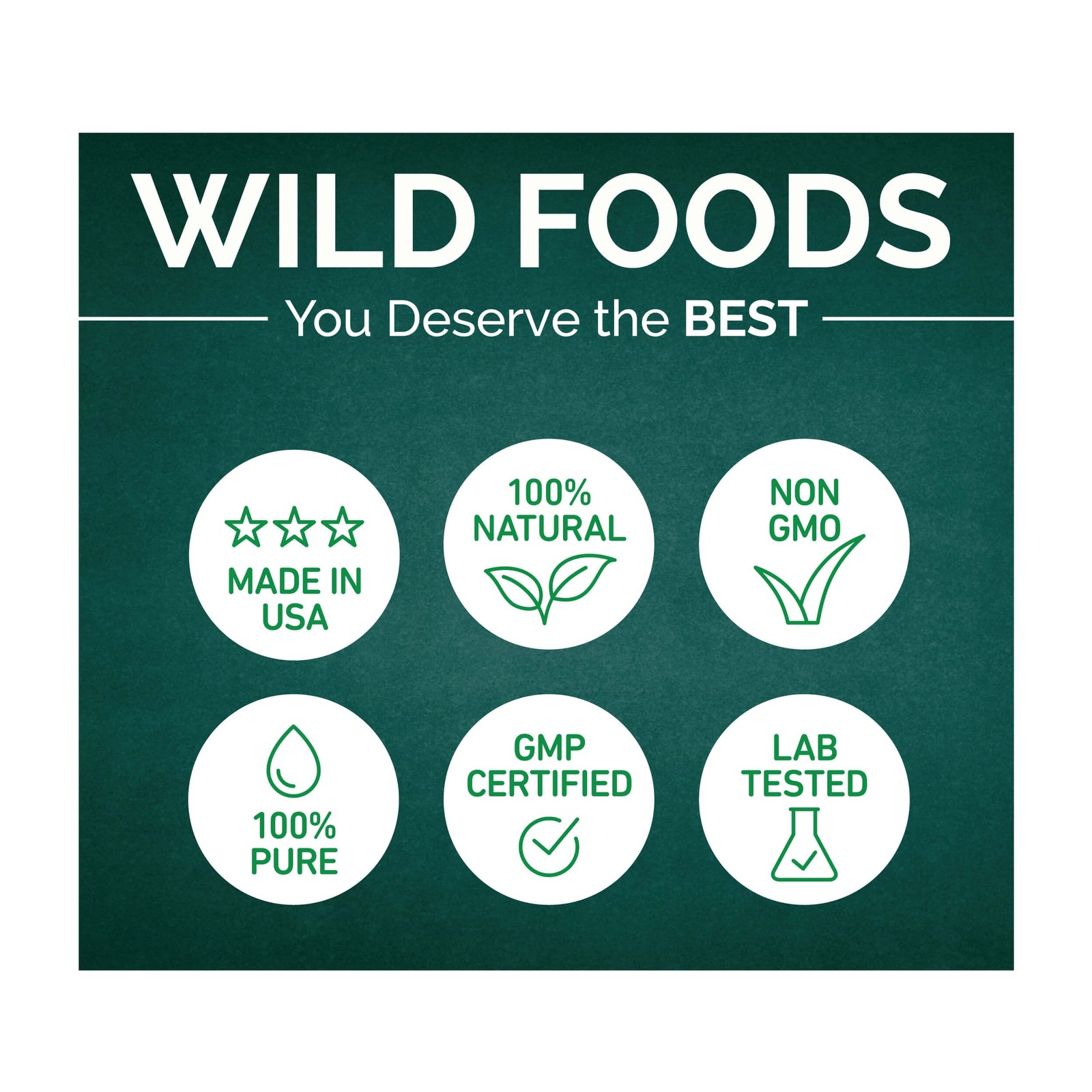 Wild Gut Daily Electrolyte Drink Powder for Digestive Support: Psyllium Husk