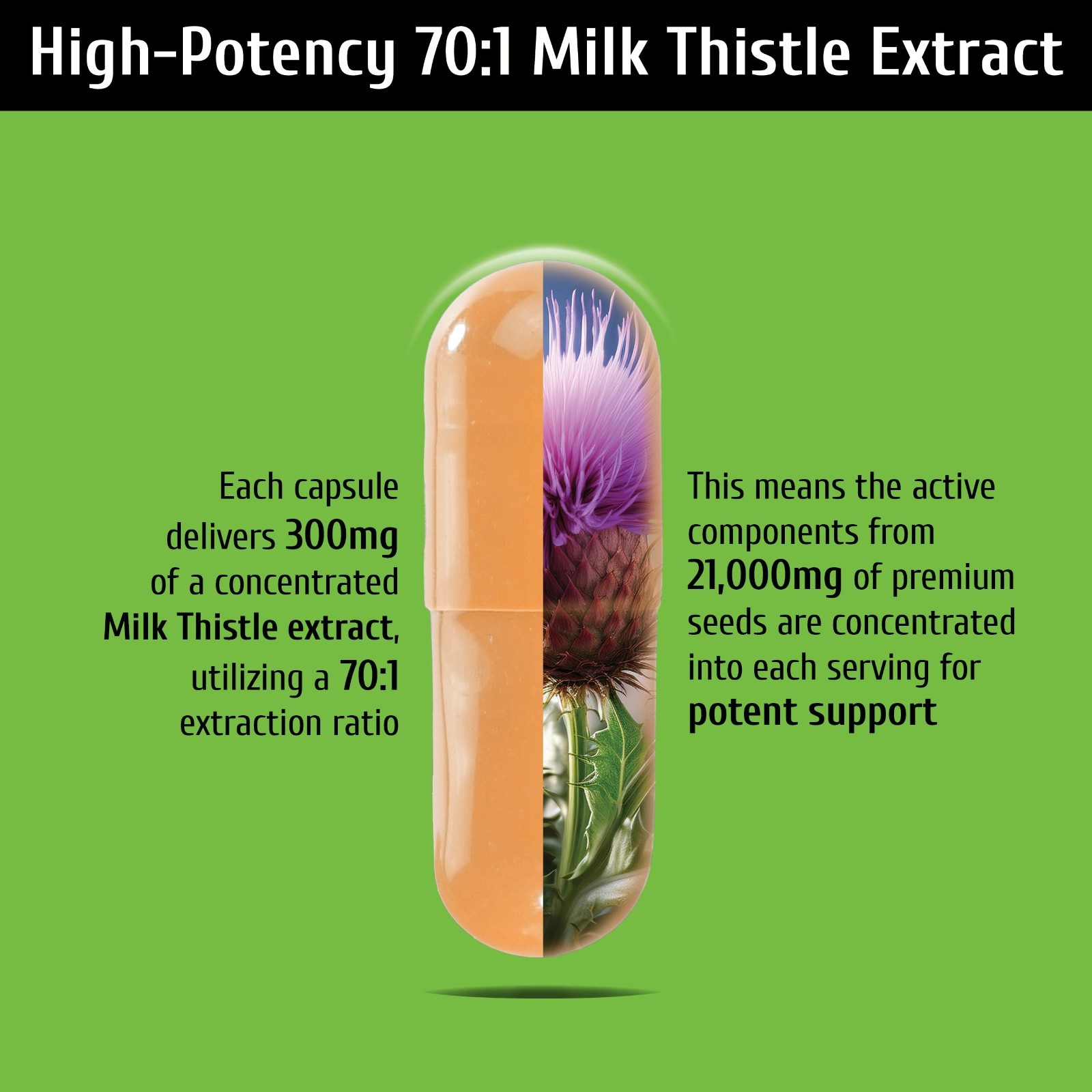 Liver Support Supplement – Milk Thistle 300mg, Dandelion, Artichoke, 60 Capsules